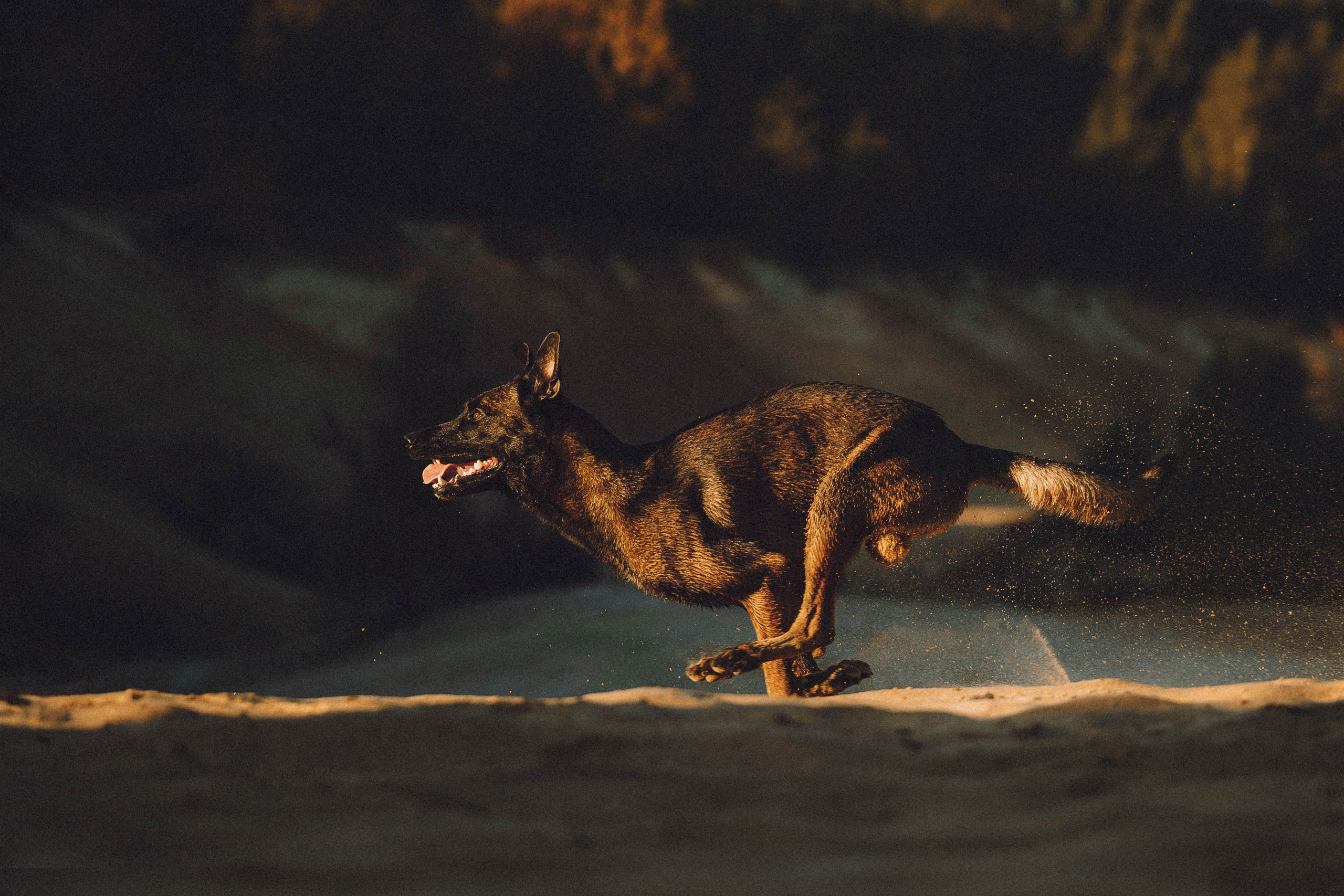 Таня, Ерш и Оллик
