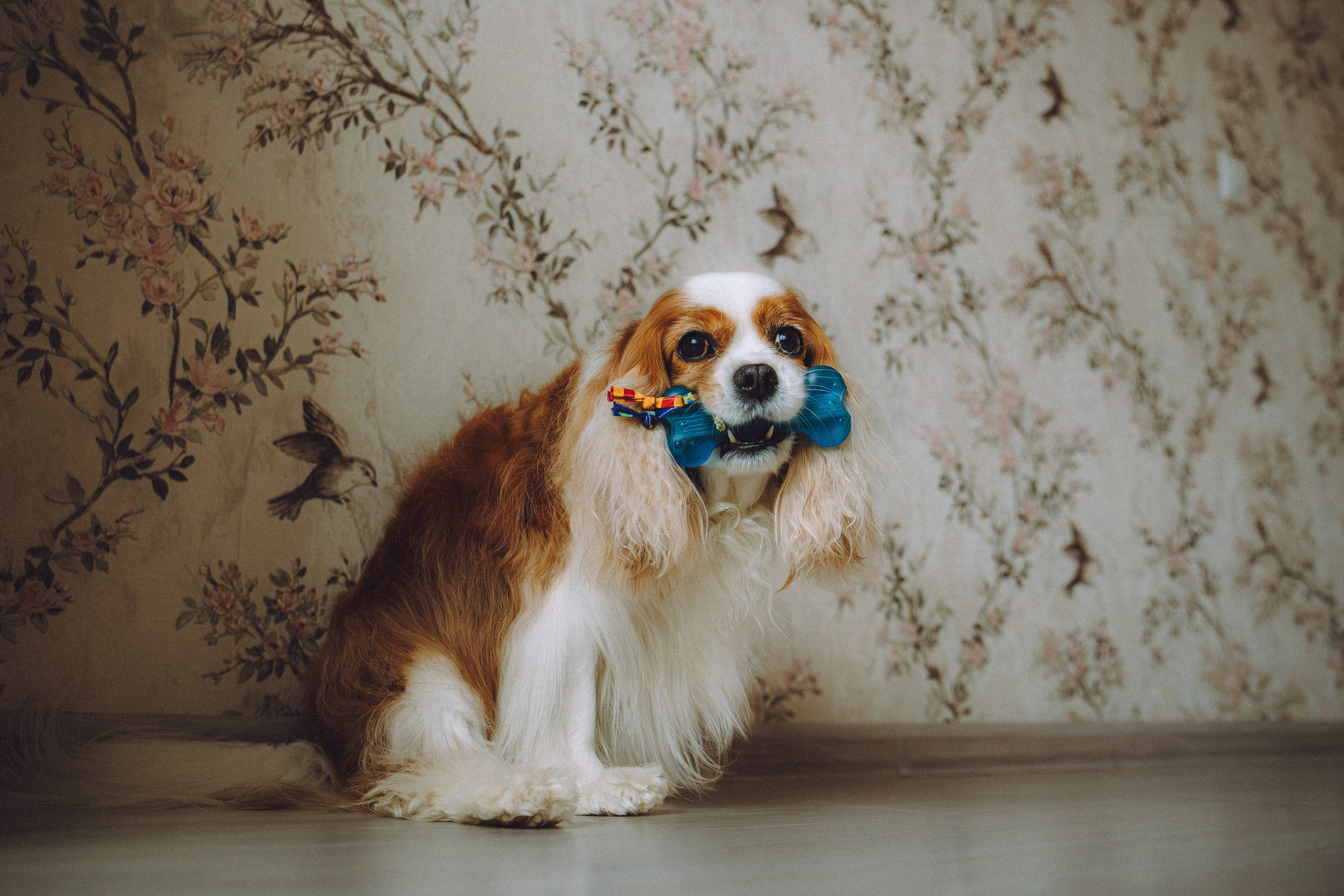 Наташа и Вики