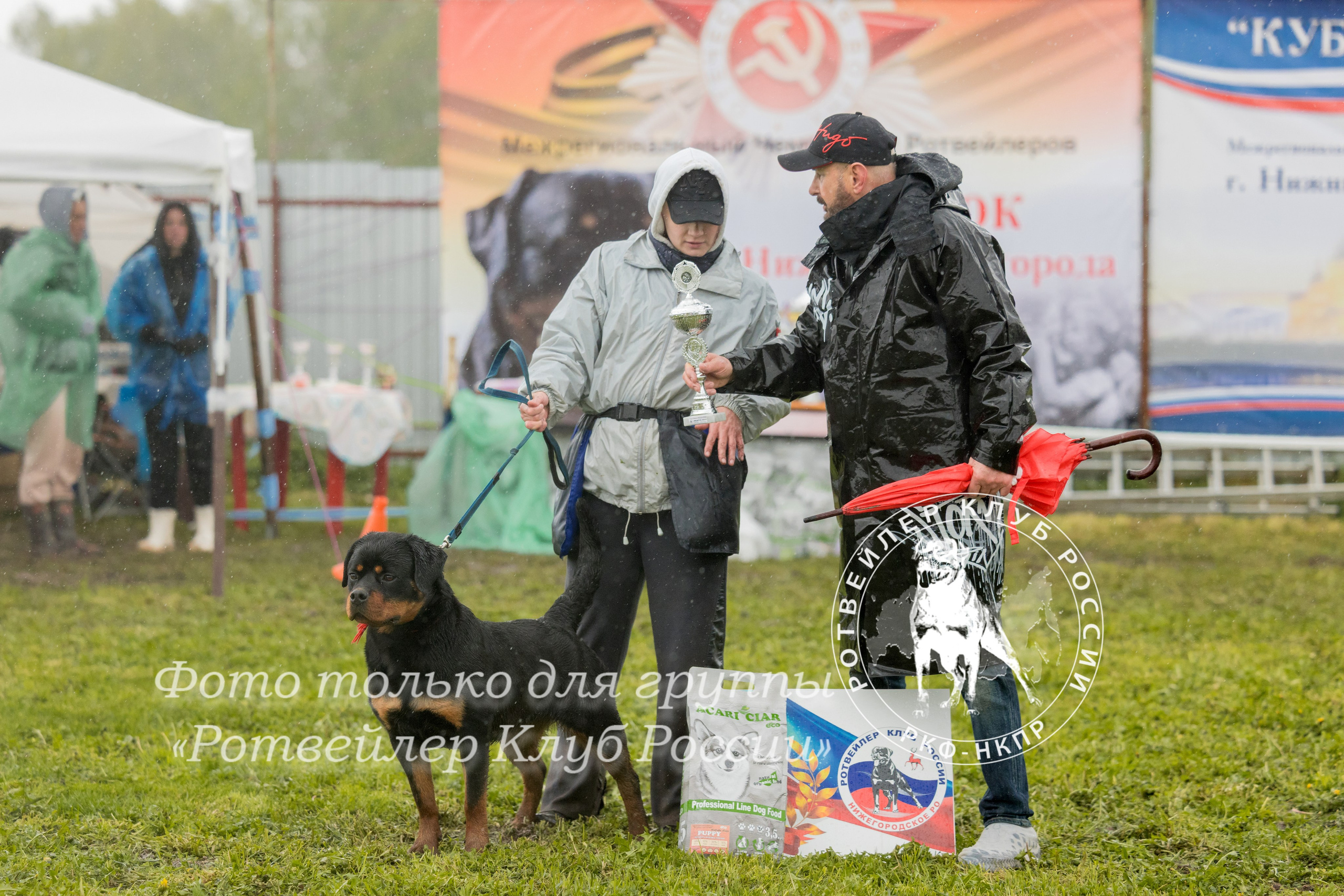 Нижний Новгород 2хмоно ротвейлеров 10-11.05.2025. Фотограф-анималист Юлия Германика
