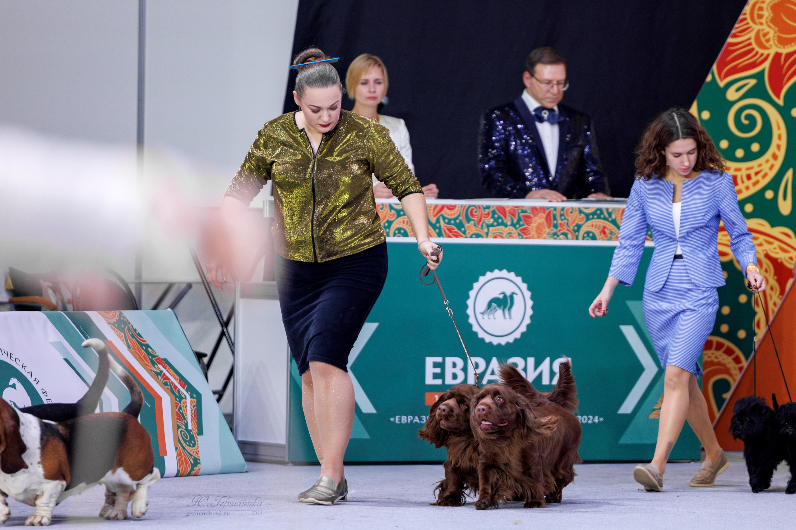 Евразия 16-17.11.2024. Фотограф-анималист Юлия Германика