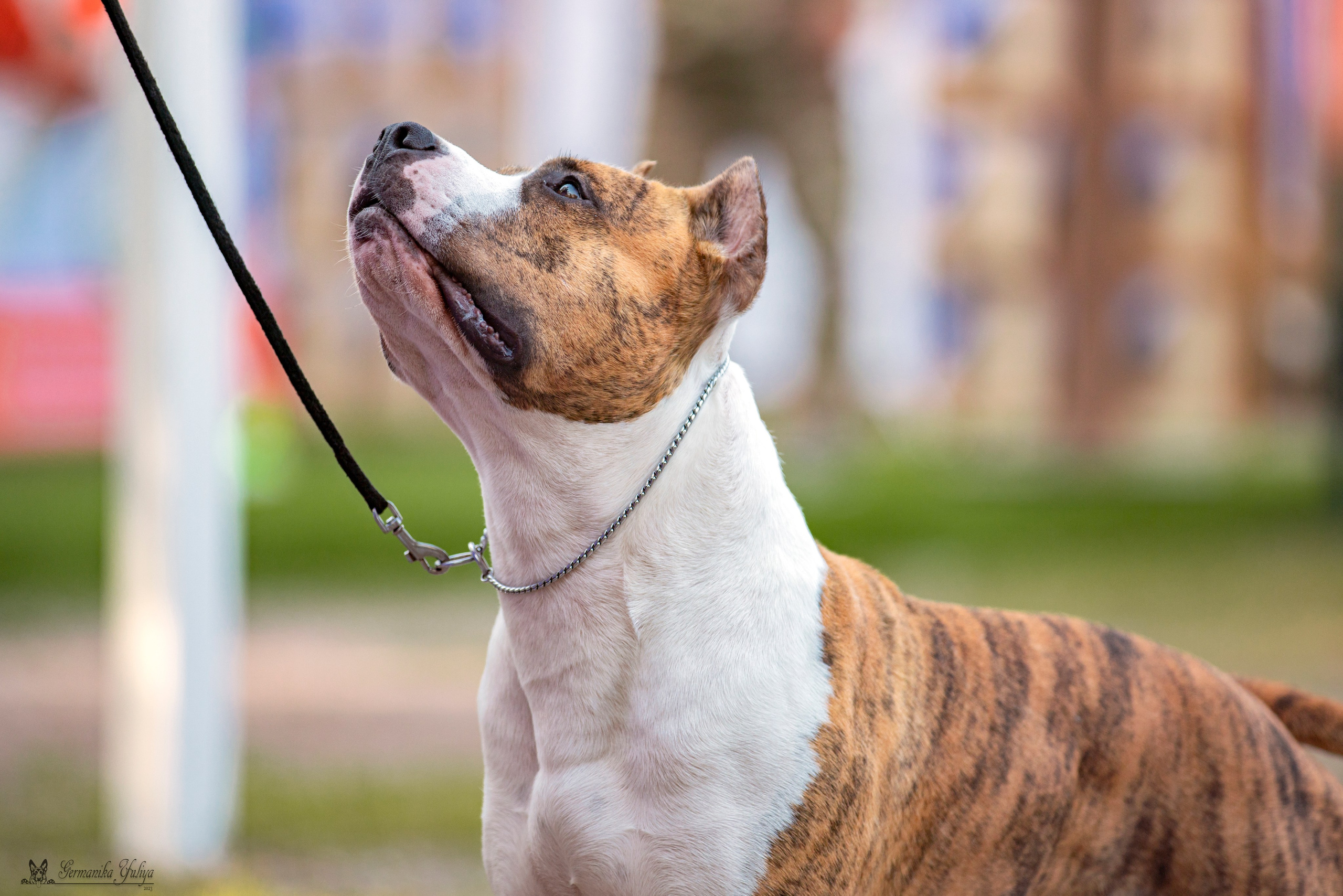 Ташкент 6-8.10.2023 + Алматы 14-15.10.2023. Фотограф-анималист Юлия Германика