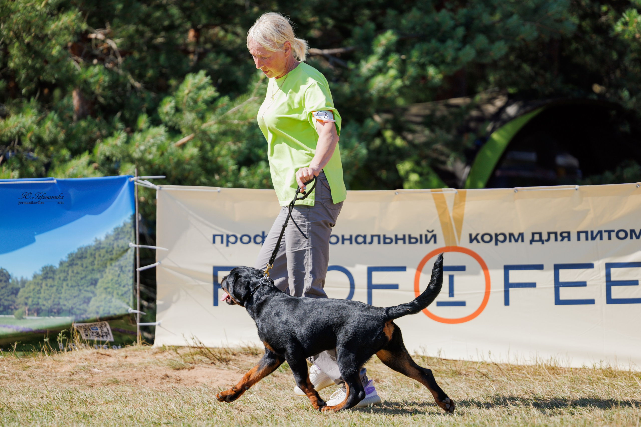 ПК и КЧК ротвейлеры Тверь 6-7.07.2024. Фотограф-анималист Юлия Германика