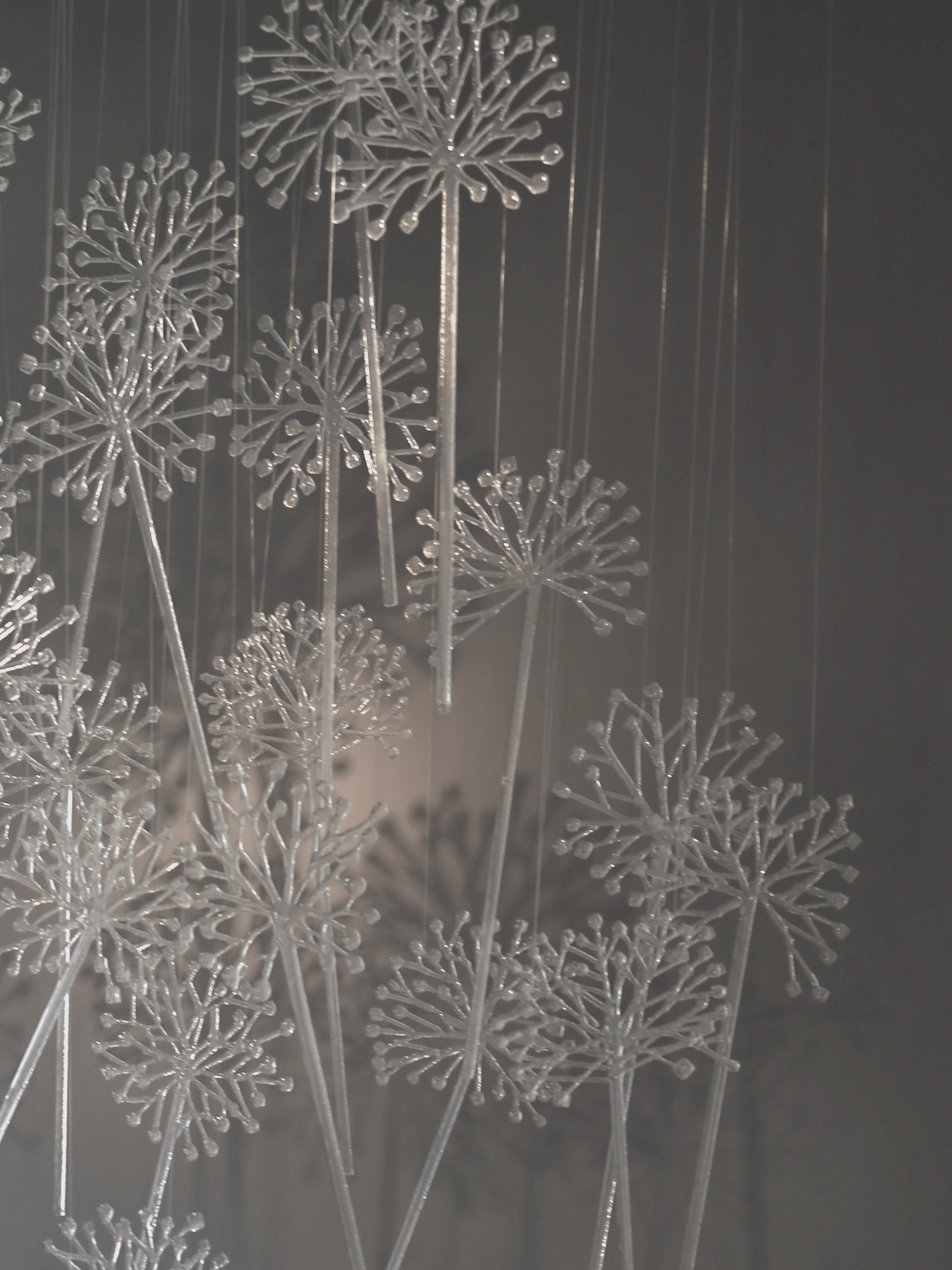 Выставка Степени прозрачности. Фотосессии и репортаж — Фотограф в Москве — Рина Серёгина