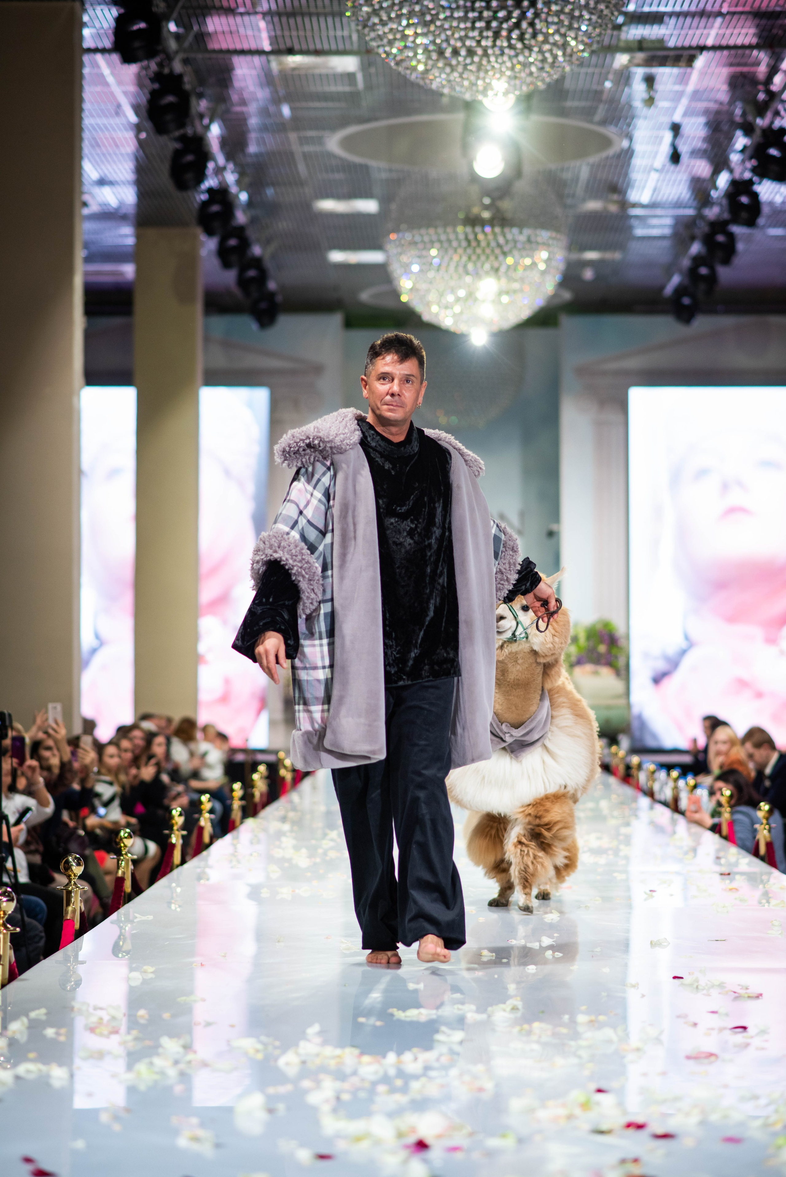 Надежда Шибина EFW. Главная