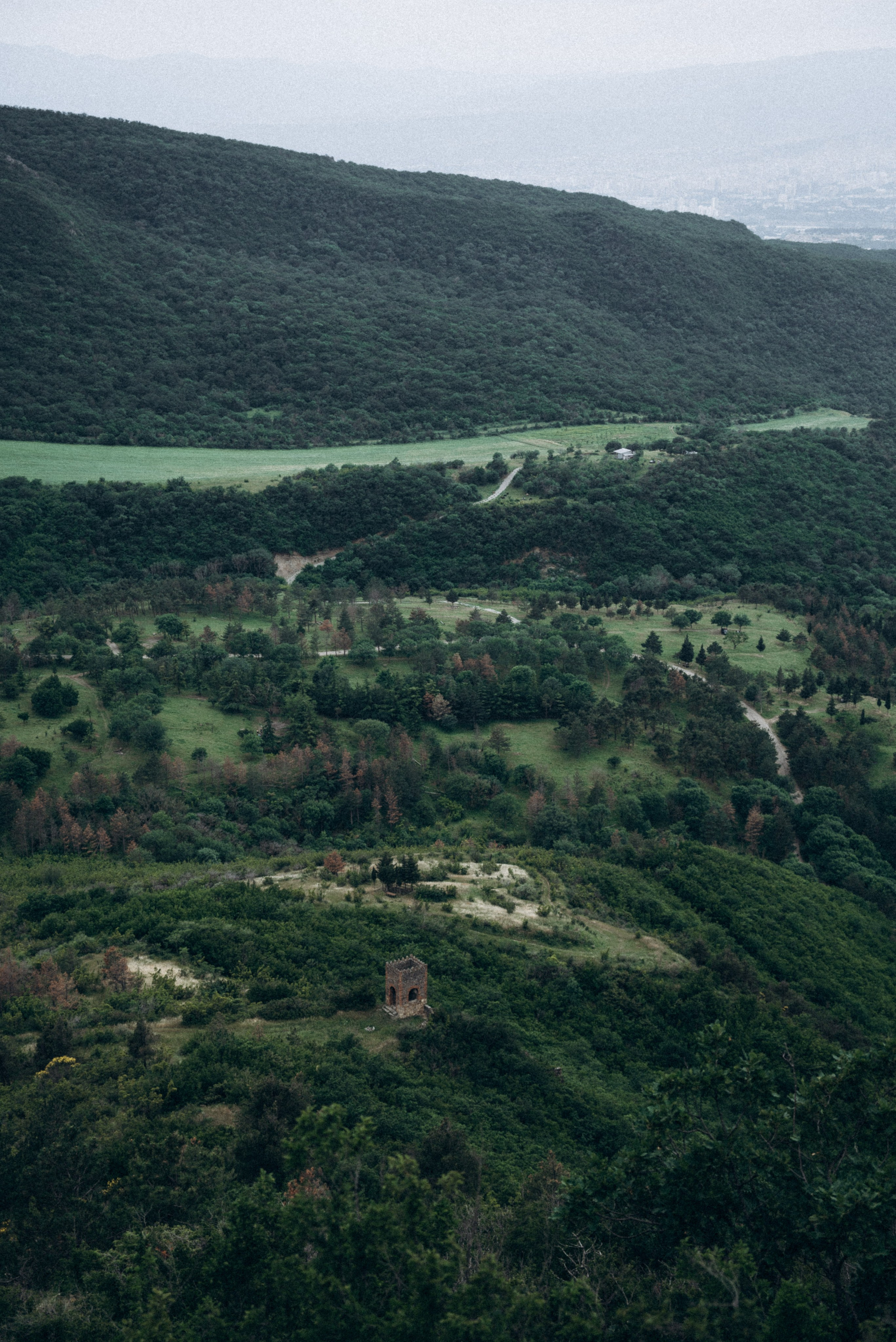 Медвежий приют, Мамкода, Грузия 🇬🇪 «Honey Trip». Anita_photo