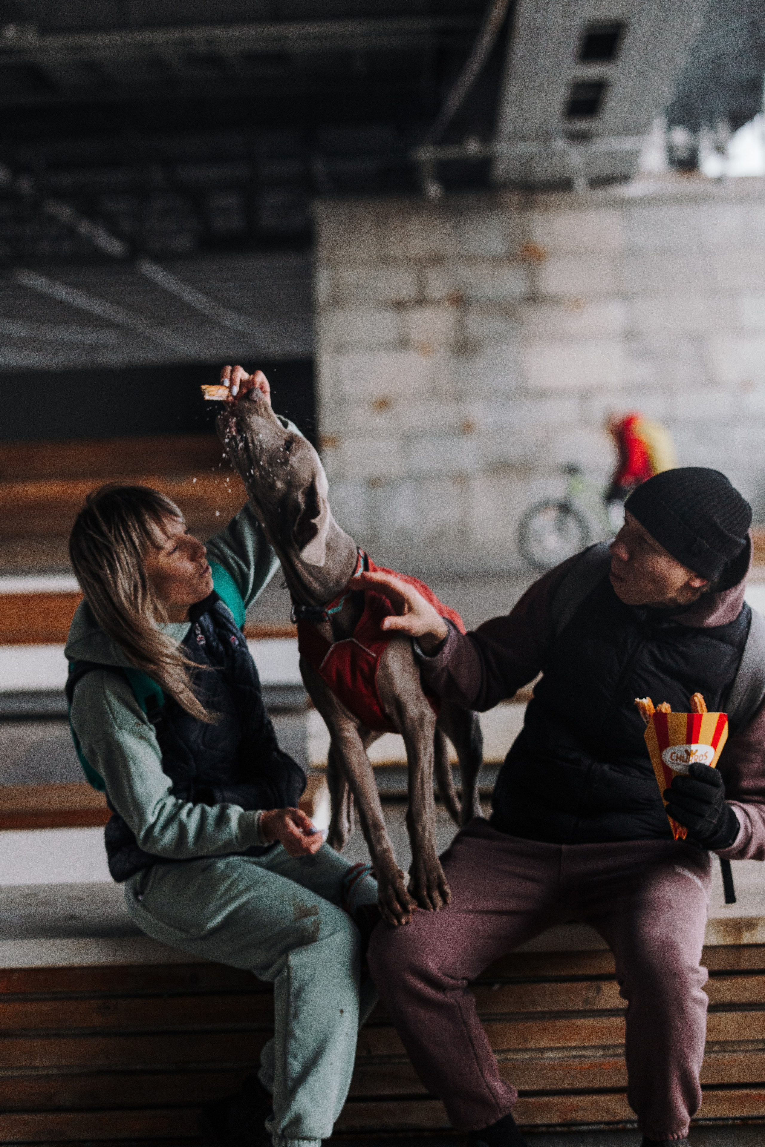 Оля, Саша и Бастиан. Фотограф анималист Кристина Карпова, Москва