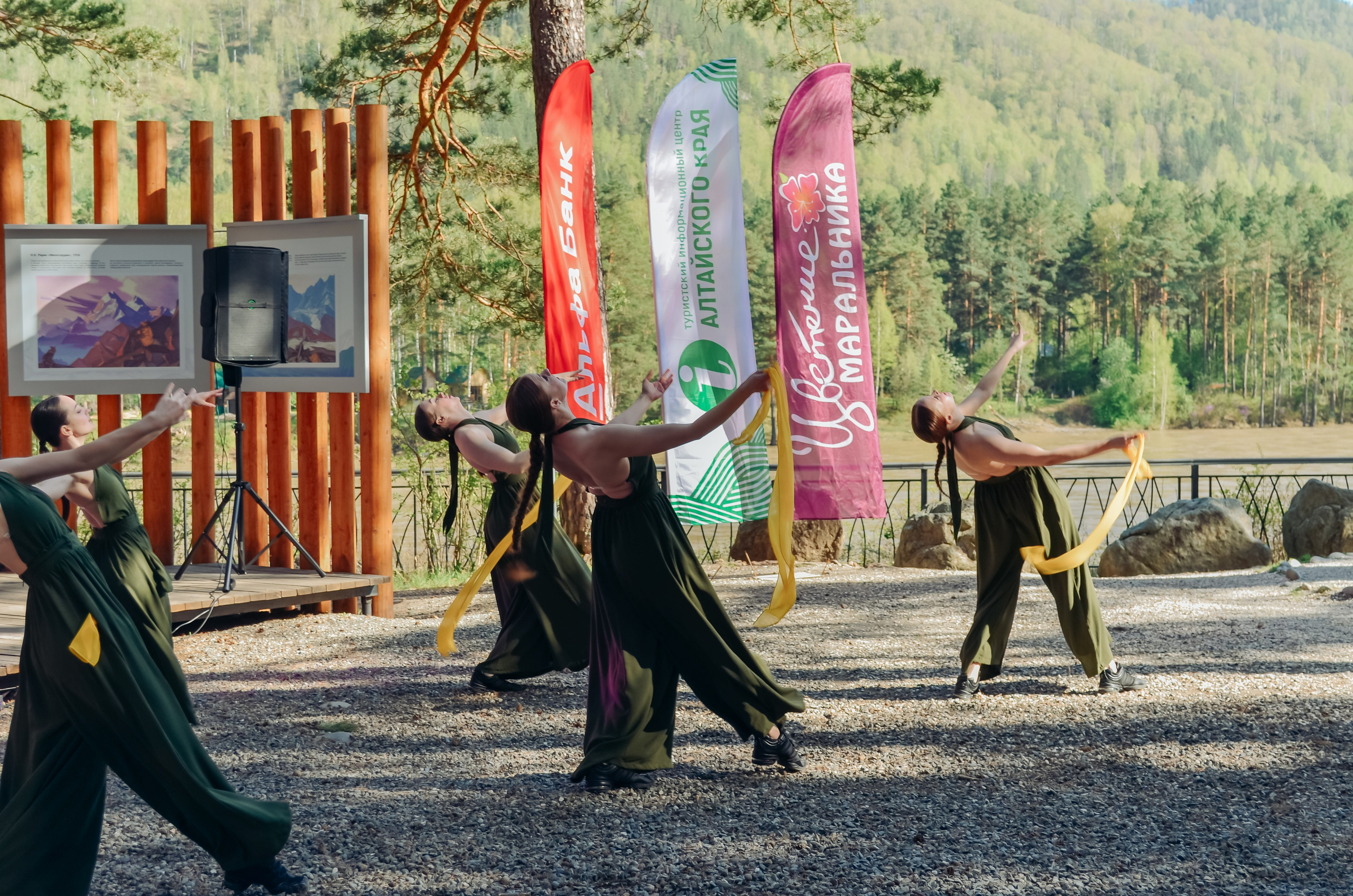 Фестиваль «Цветение Маральника на Алтае 2025». Фоторепортаж. Денисова Аля — фотограф для парных съемок и индивидуальных историй в Барнауле