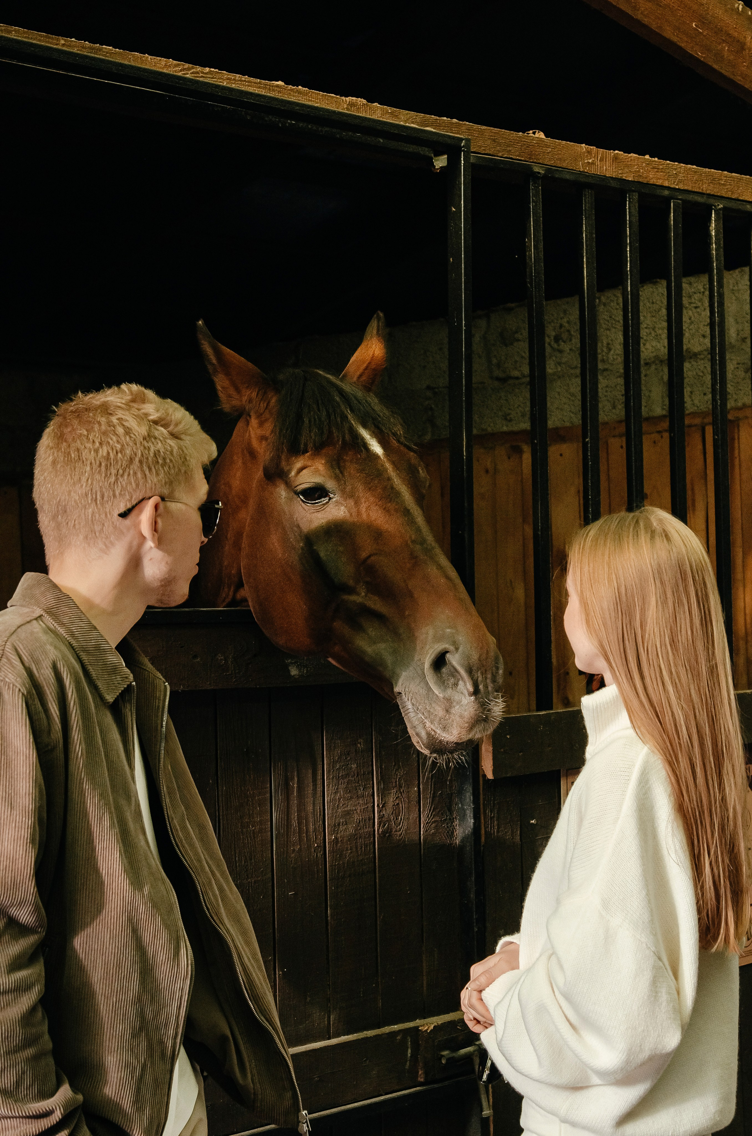Дом-музей лошадей Хуторъ. Фотографы в Тюмени Андрей и Лидия Войвод