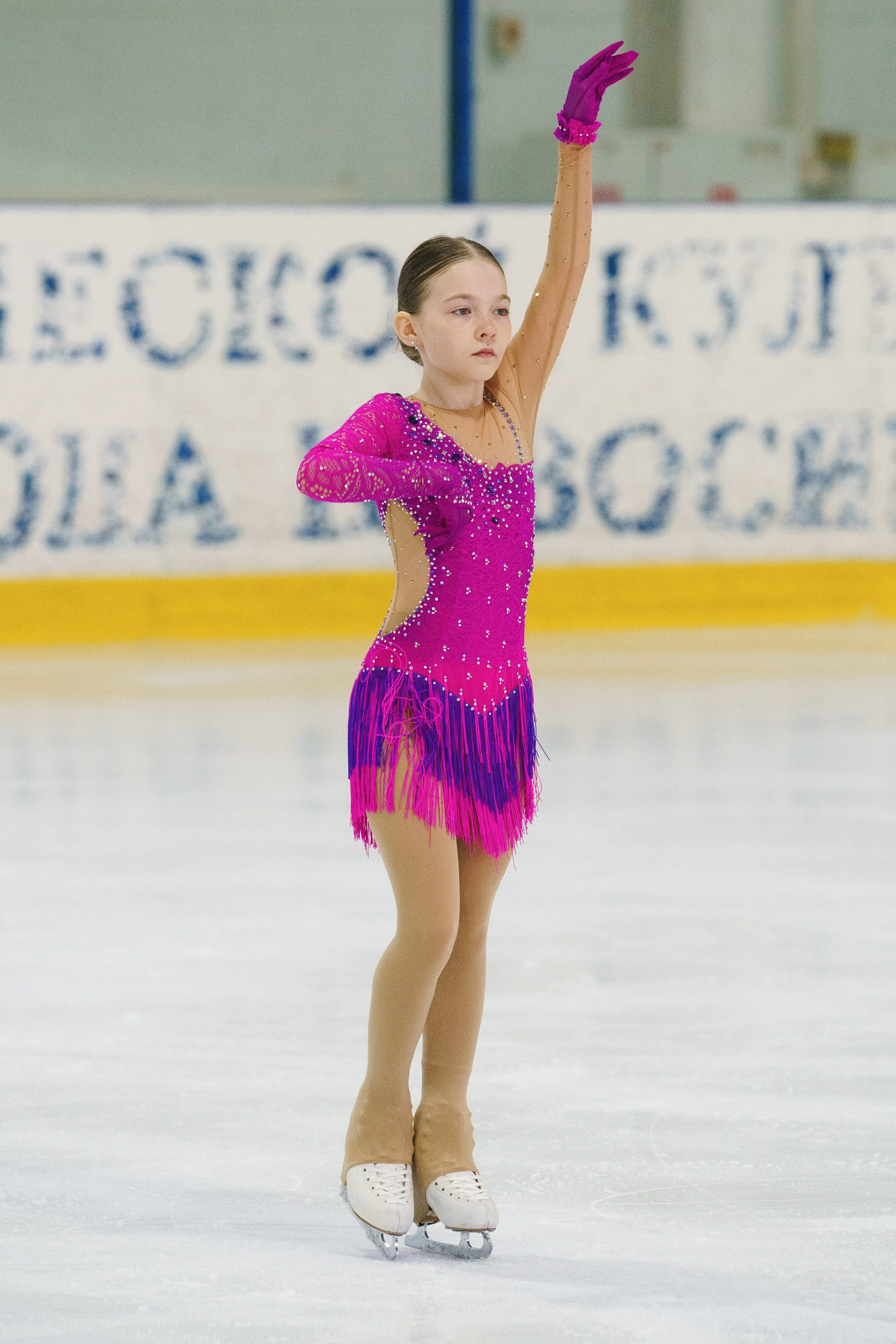 Соревнования ФКК «Майские звезды». Фотомастерская Воробьевых