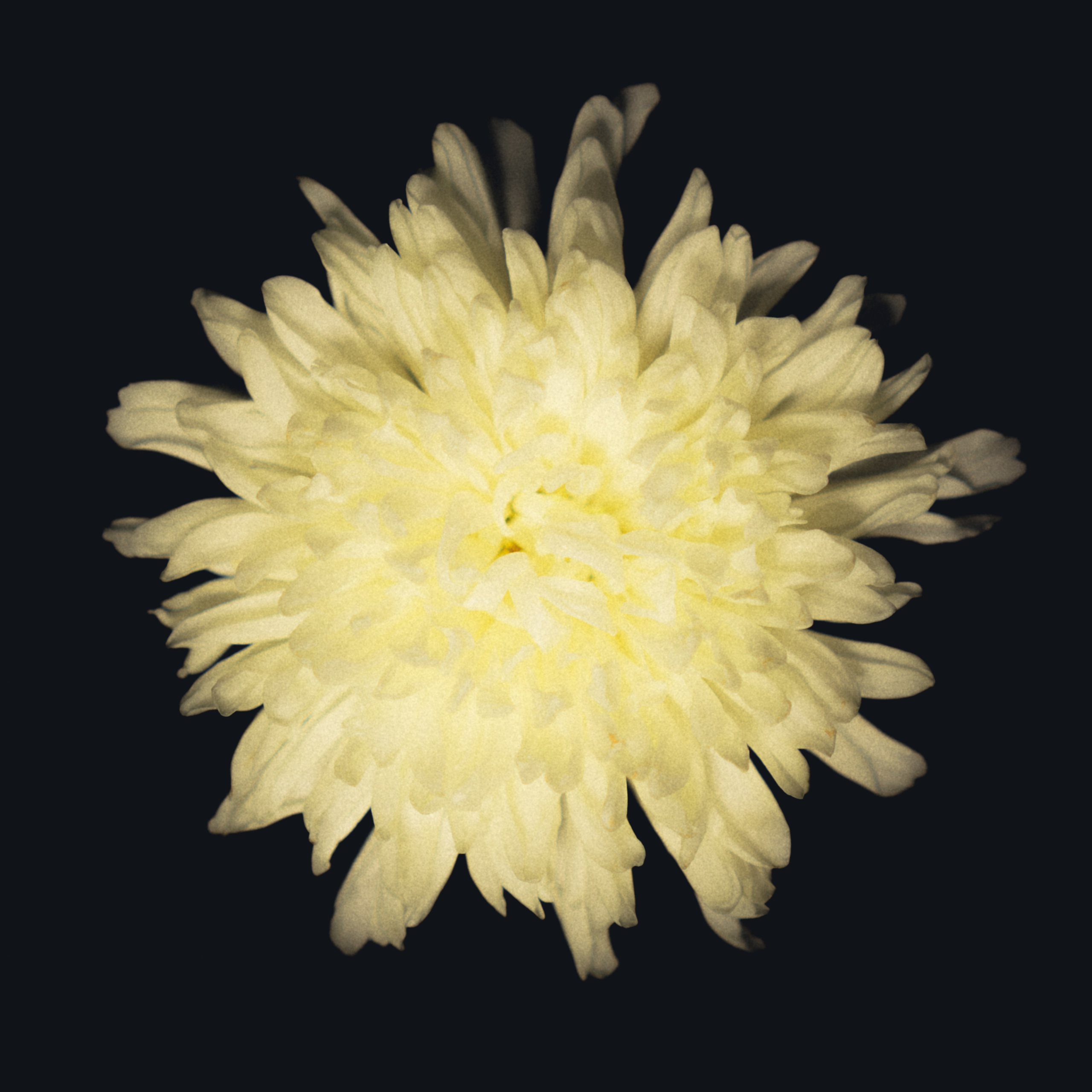 Единство (серия). Мистические фотосессии в Санкт-Петербурге от мистика Ильи Шенгелия