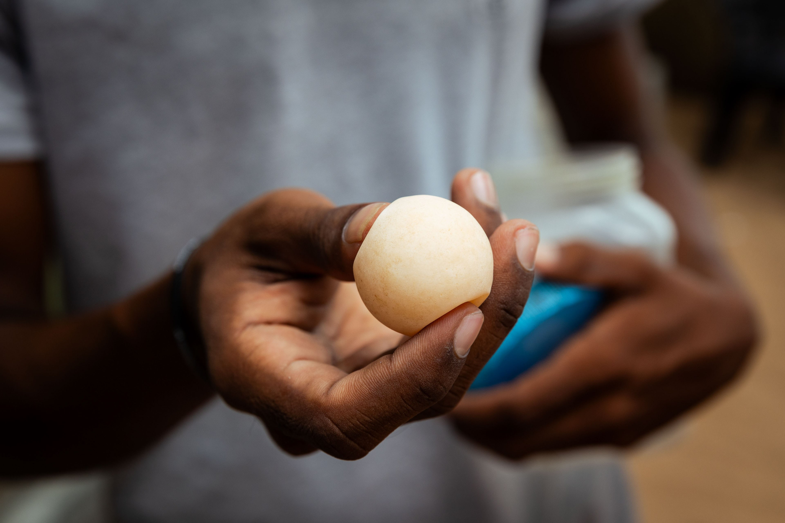 Шри-Ланка (весна 2024). Фотограф Виноградов Константин