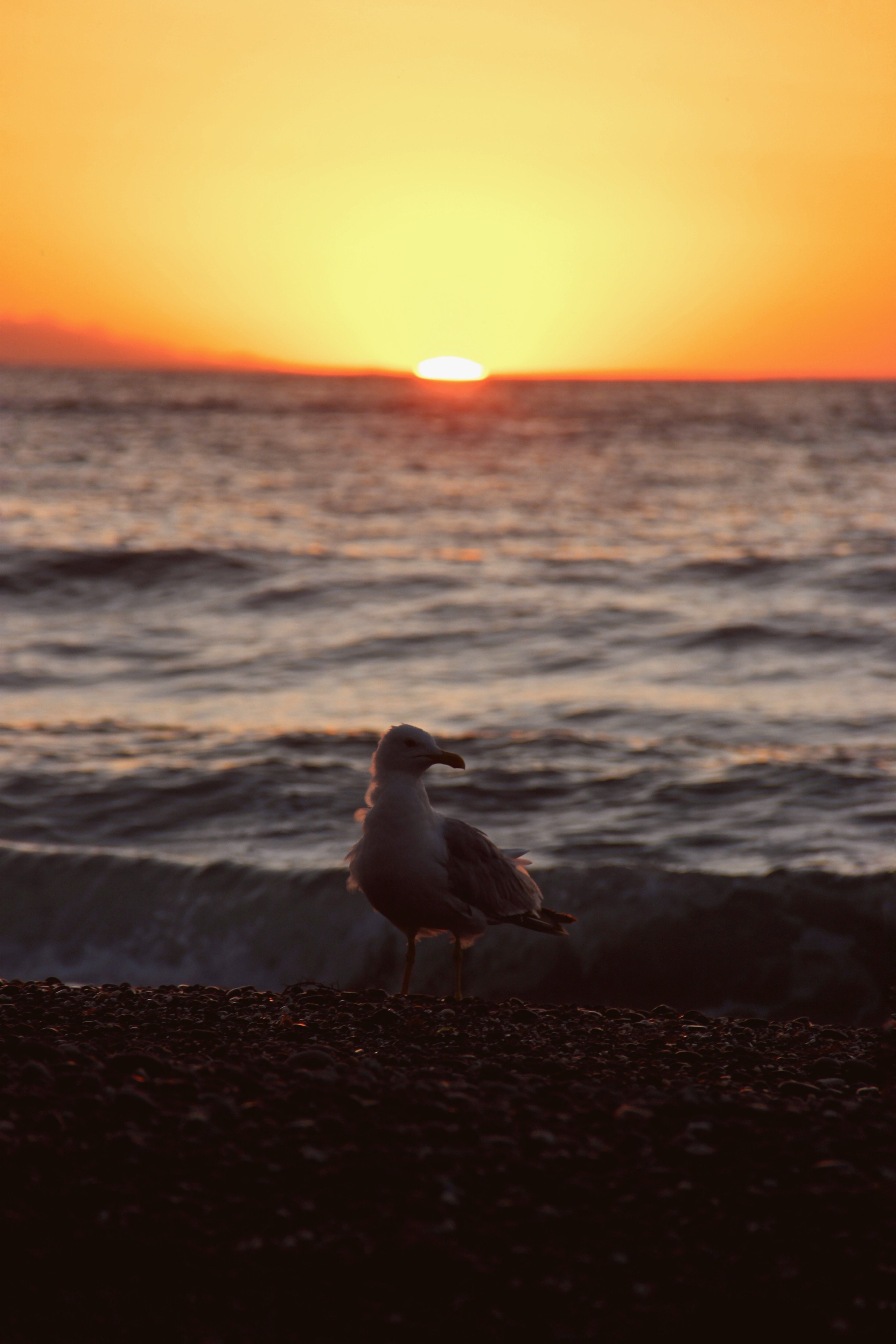 Фотограф и видеограф в Санкт-Петербурге