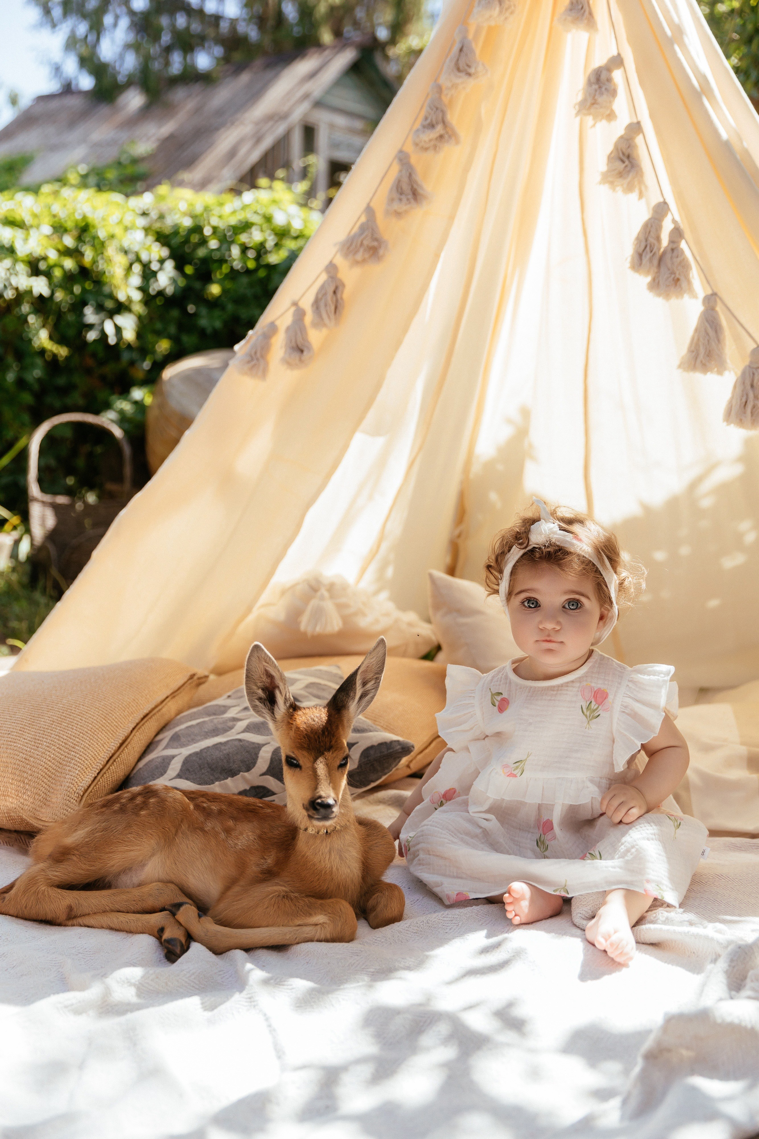 Диковинка Дача. Камилла — свадебный и женский фотограф в Саратове