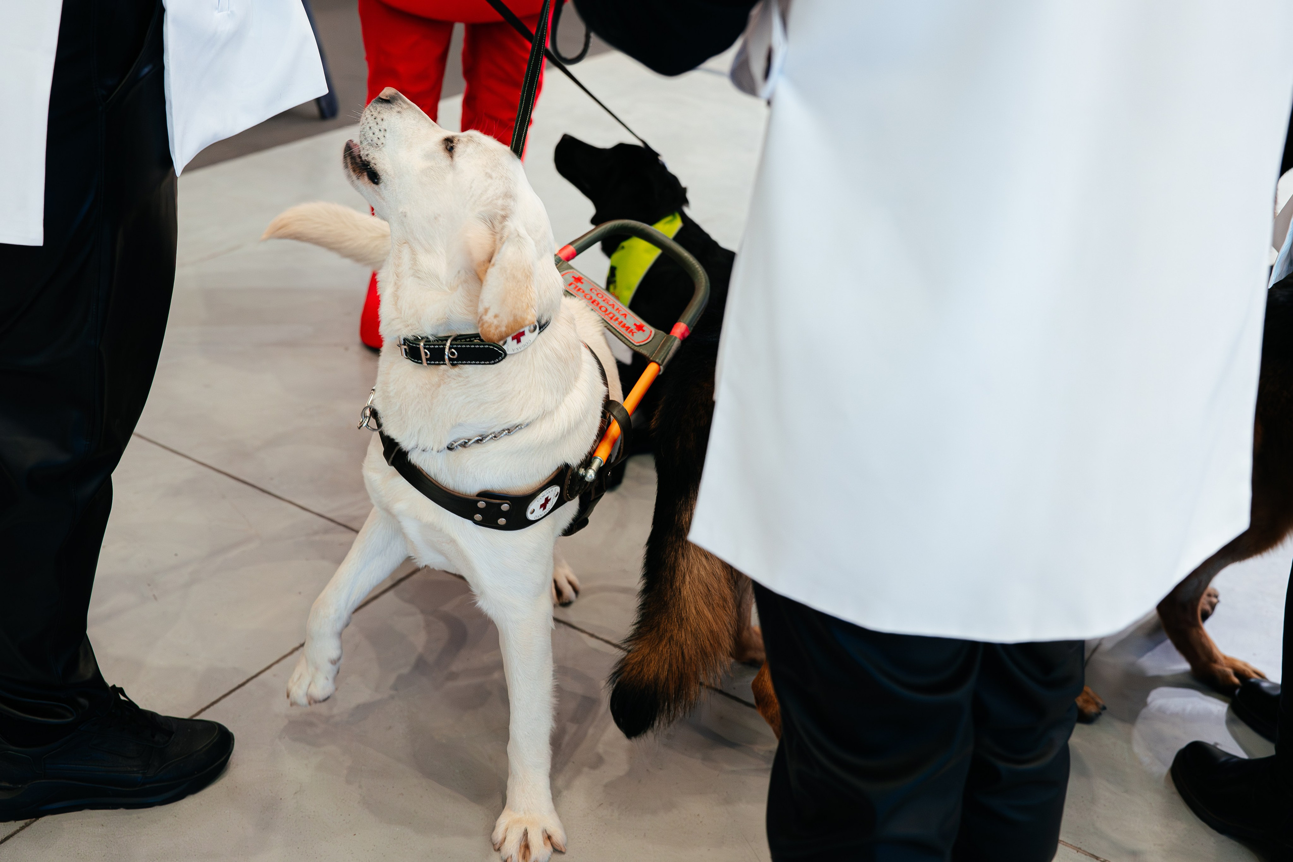 Абилимпикс 2025. Коммерческий фотограф в Санкт-Петербурге Анна Кобзарь