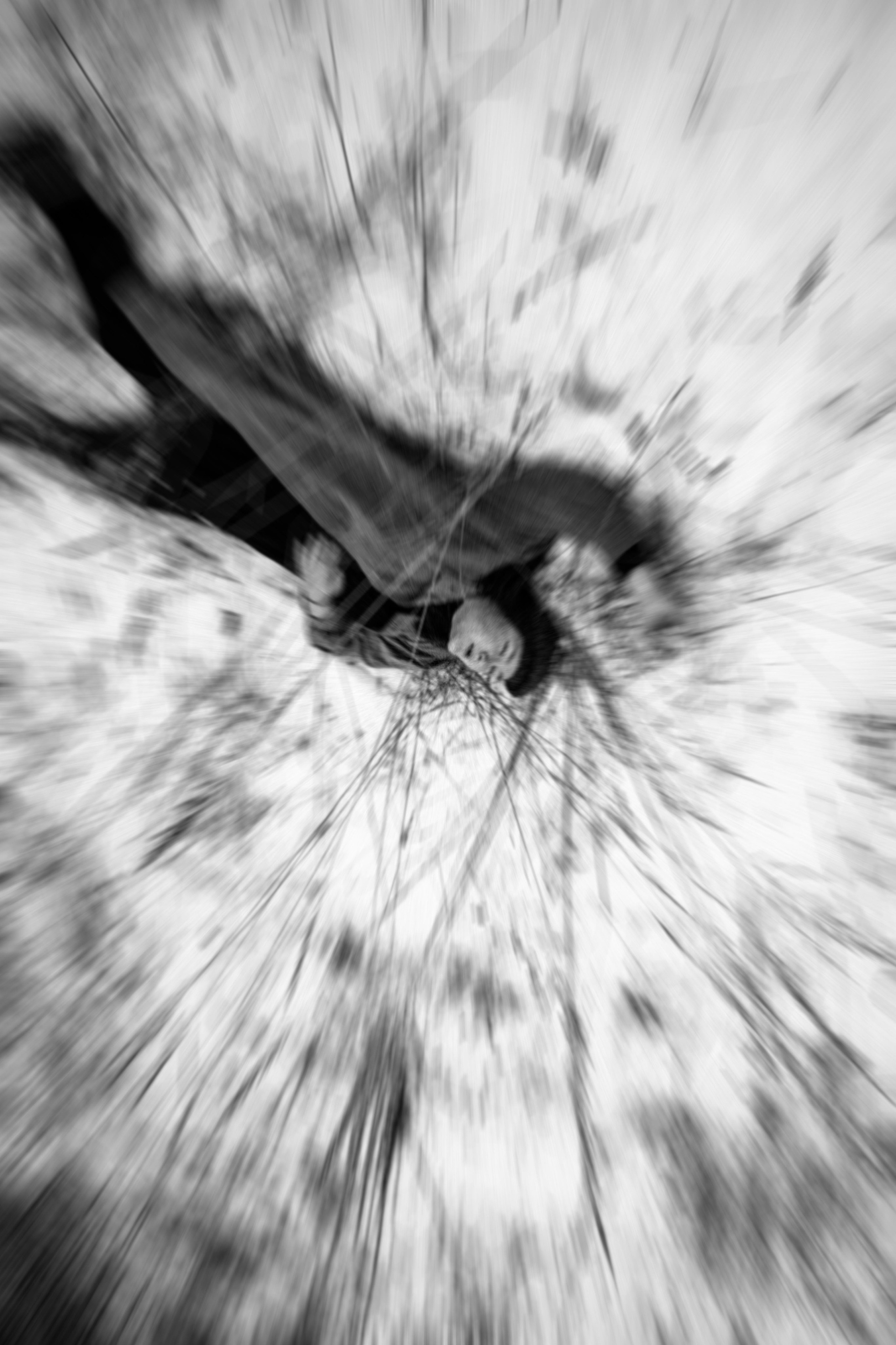 Олеся. Зимнее поле. Фотограф в Нижнем Новгороде