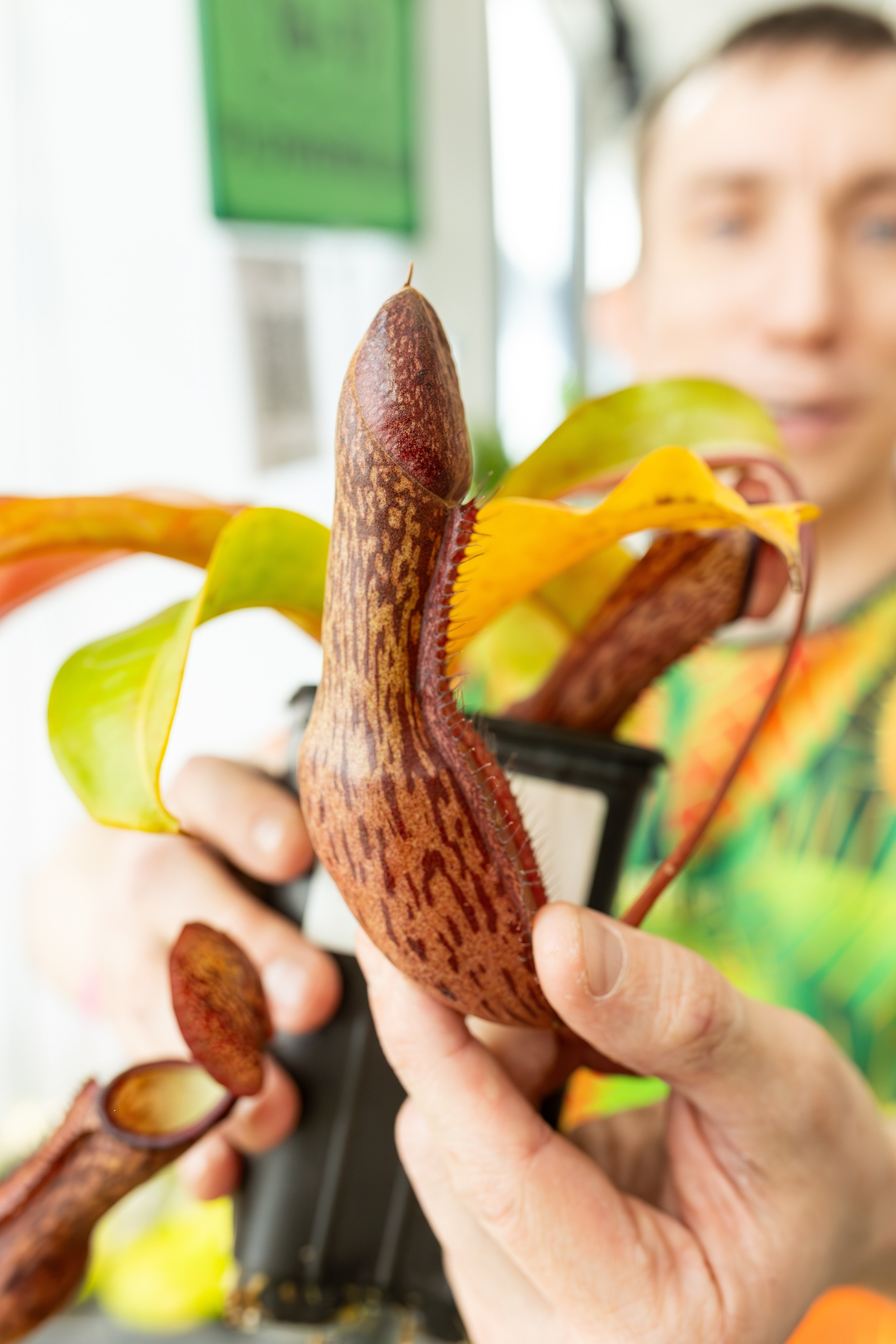 Монстериум апрель 2025. Александра Куликова фотограф, Москва