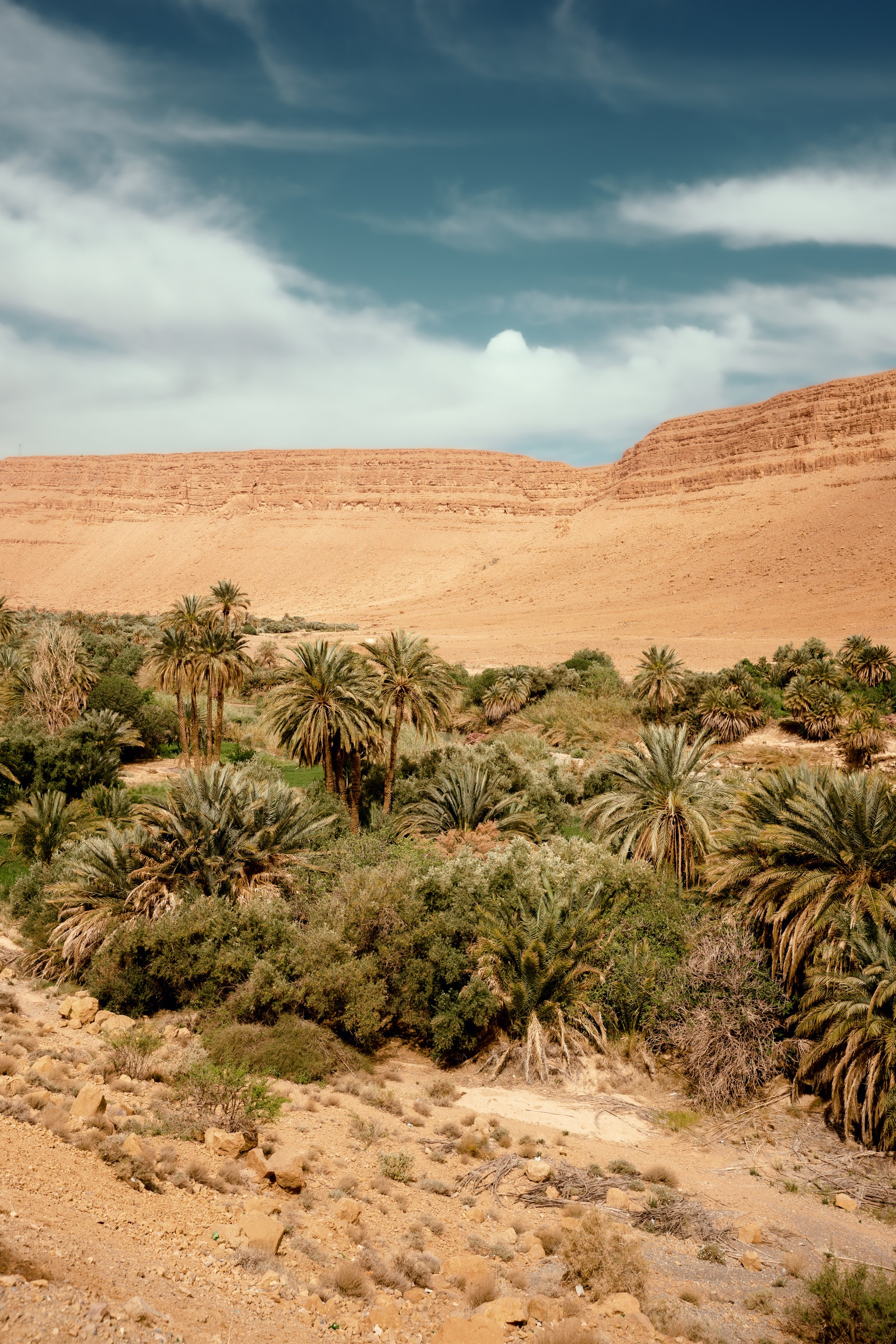 Северная Африка: Тунис, Марокко. Фотограф в Хабаровске. Фотография за 24 часа