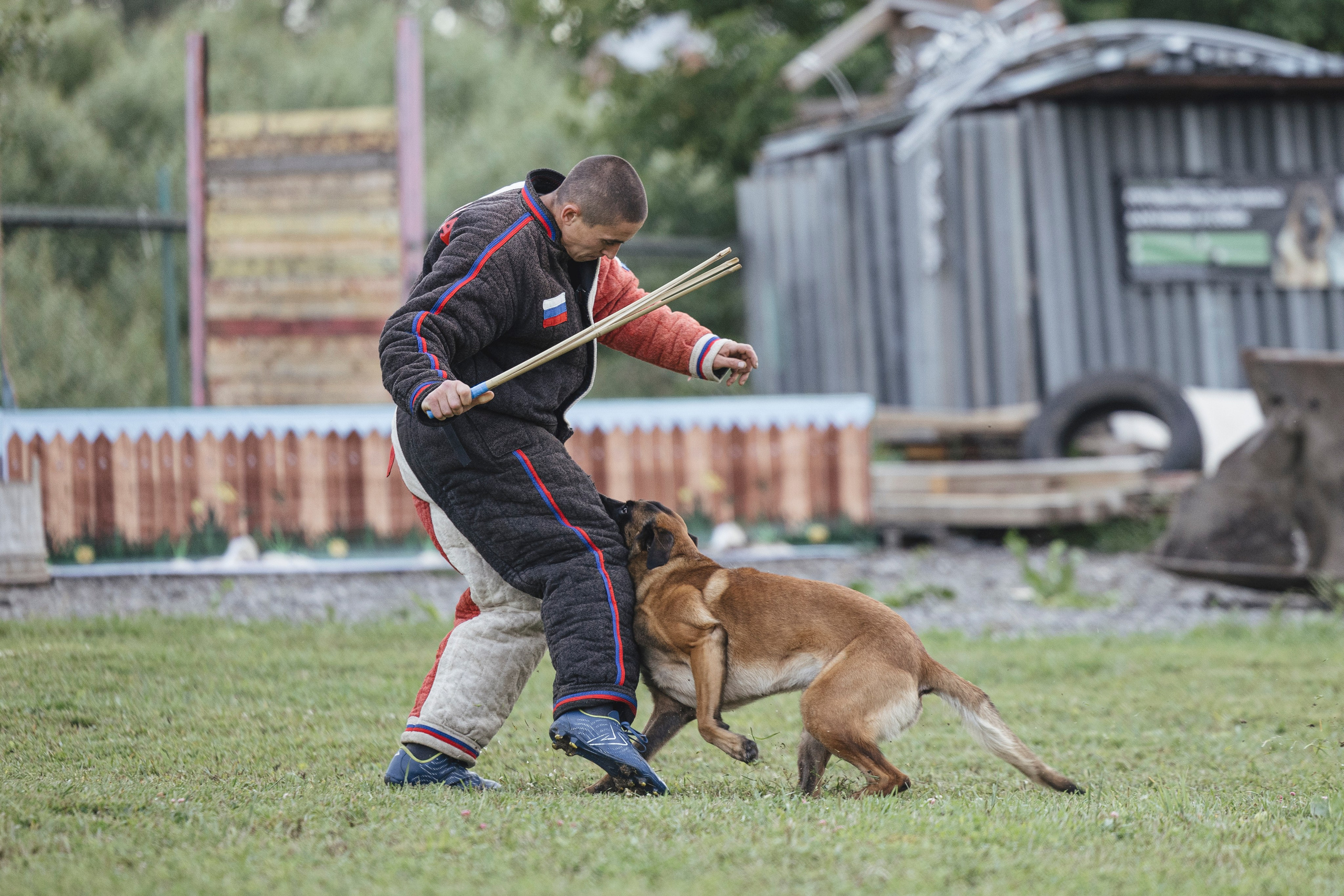 08.08.25-10.08.25 ЧР по мондьорингу г. Вологда. Фотограф-анималист Анна Маринич