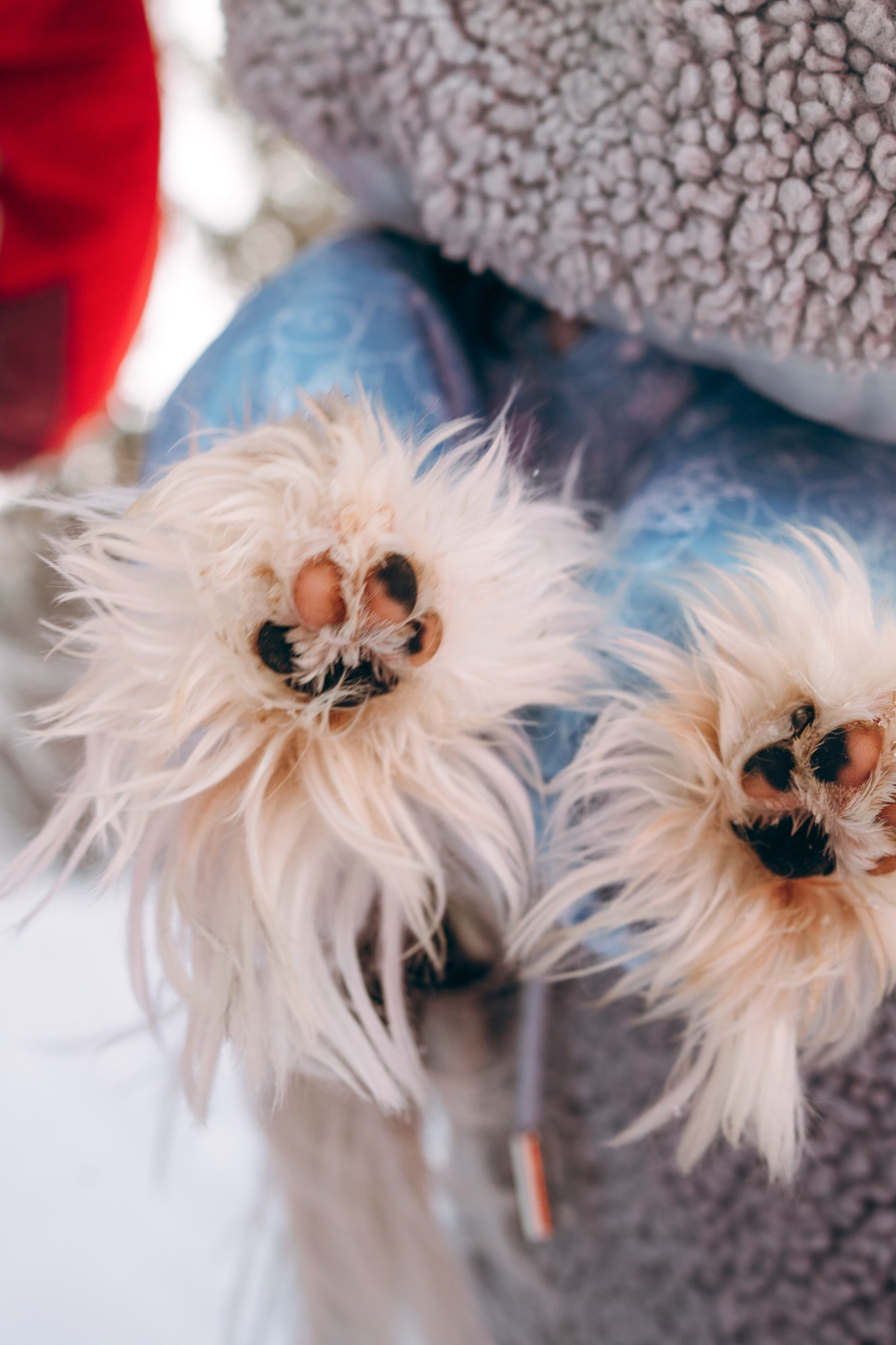 Г. Миасс 2023-2024. Фотограф-анималист Анастасия Большакова