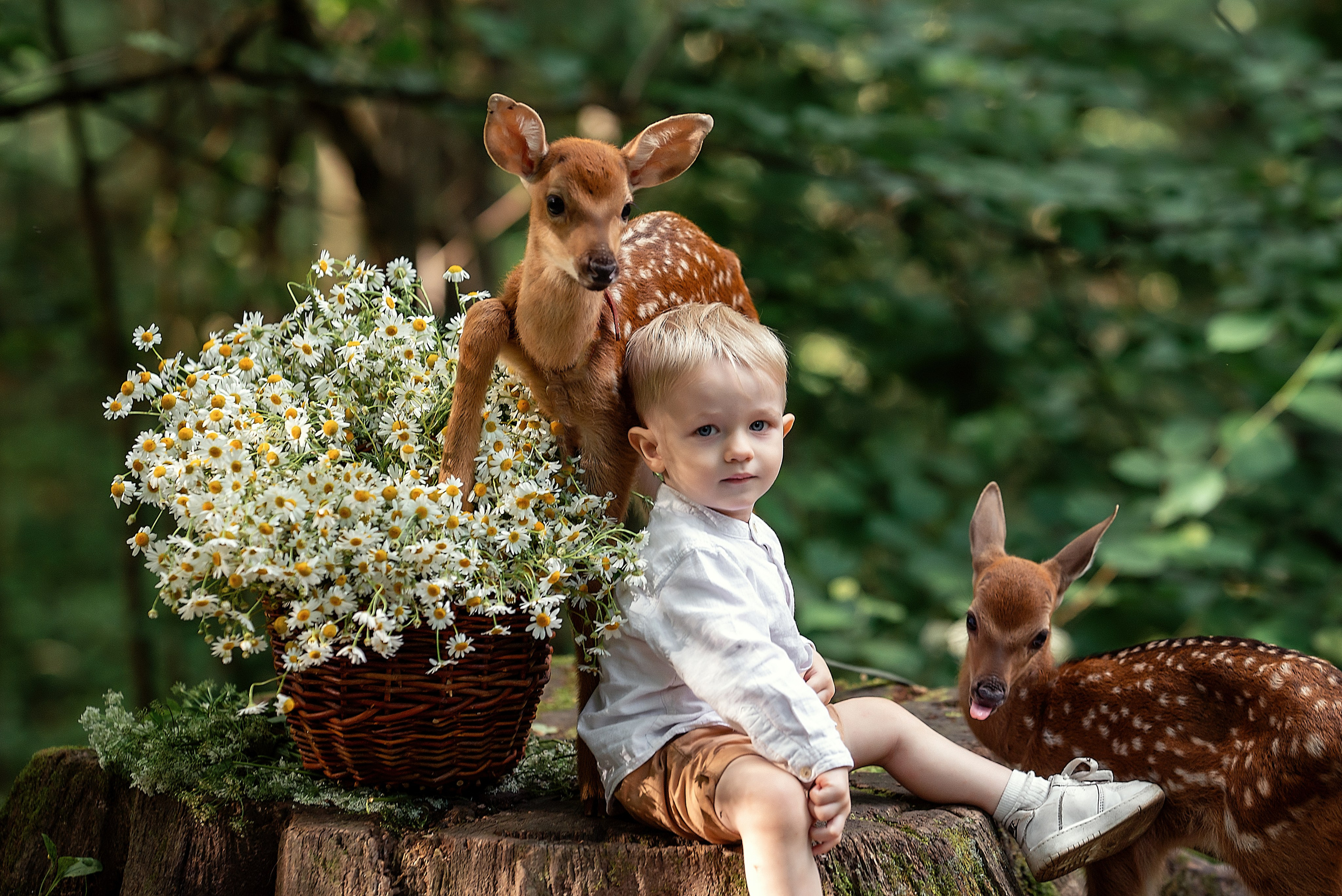 СЕМЕЙНАЯ ФОТОСЕССИЯ НА ПРИРОДЕ. Главная