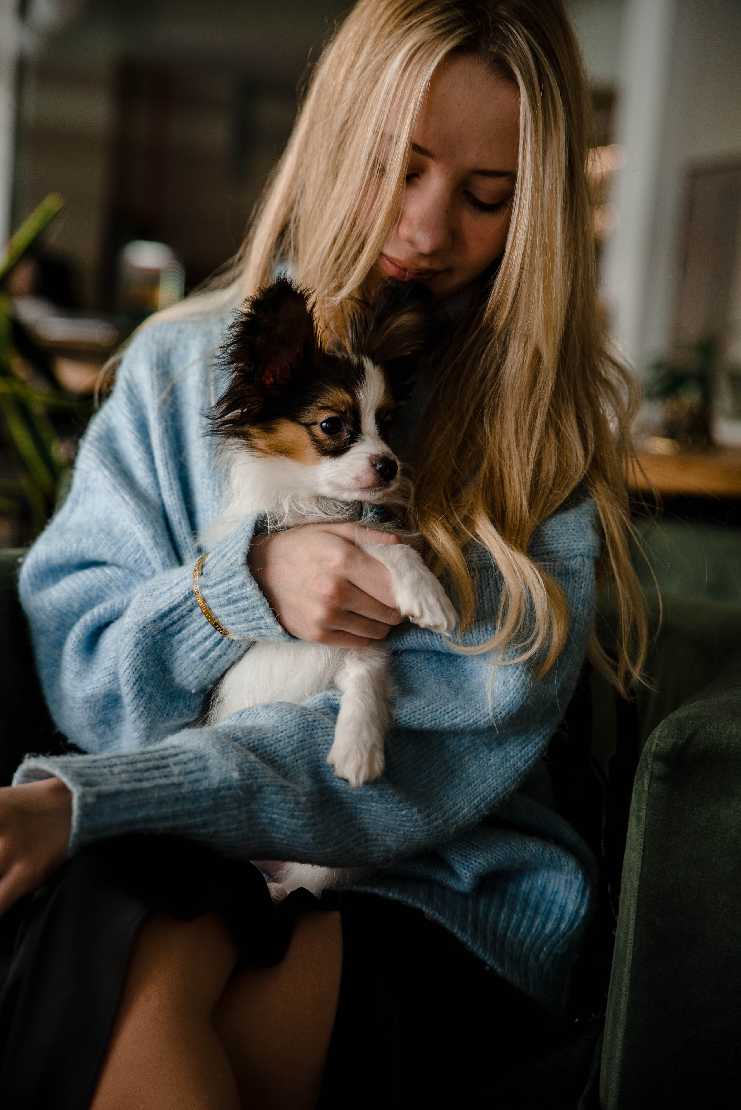 Настя, Света и Папийон Луней. Главная