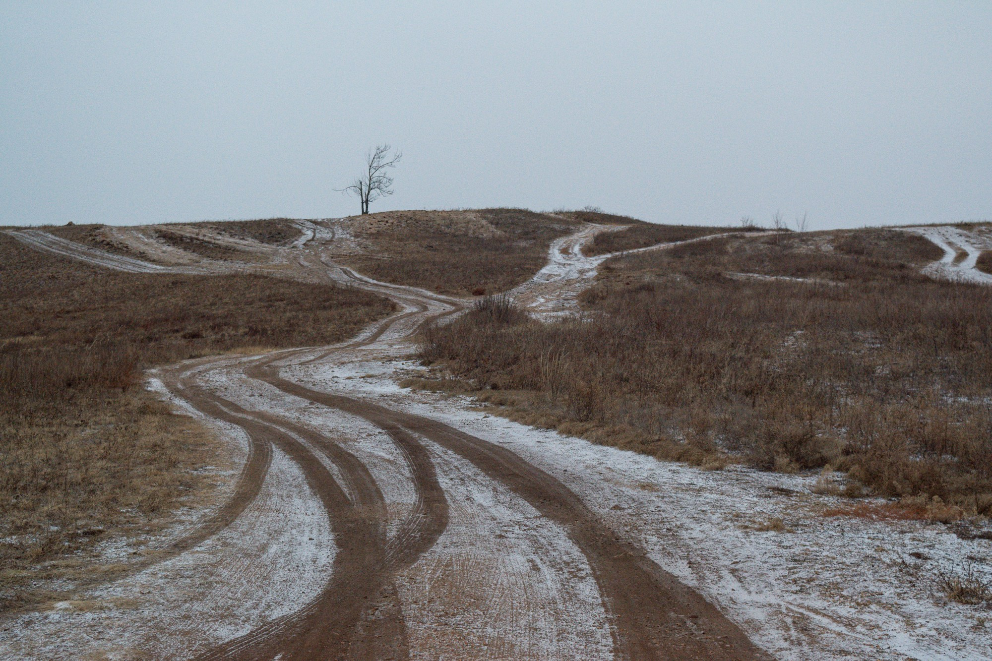 Разное. Репортажный фотограф г. Чита