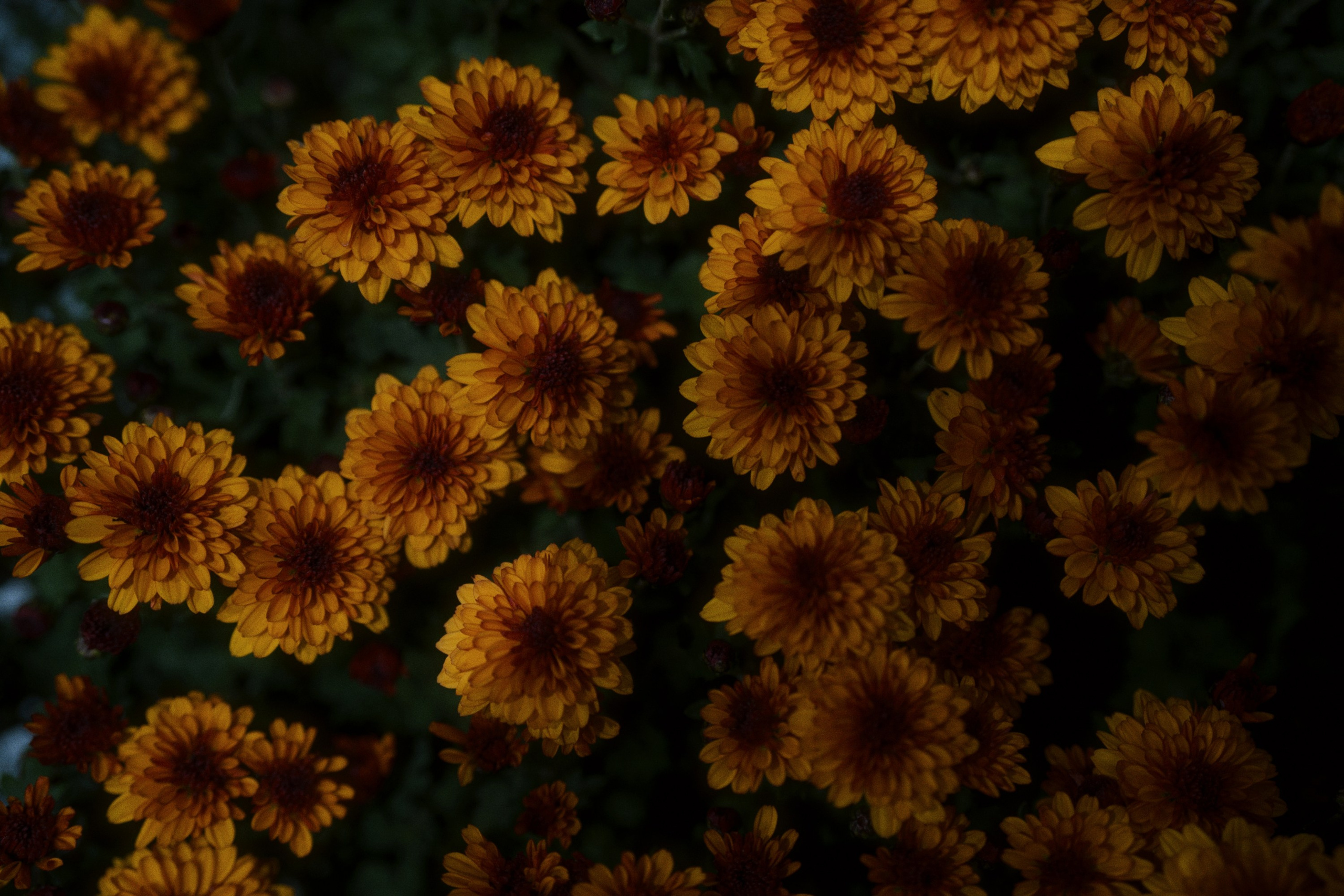 Vomi / opening (halloween). Фотограф Юрин Евгений