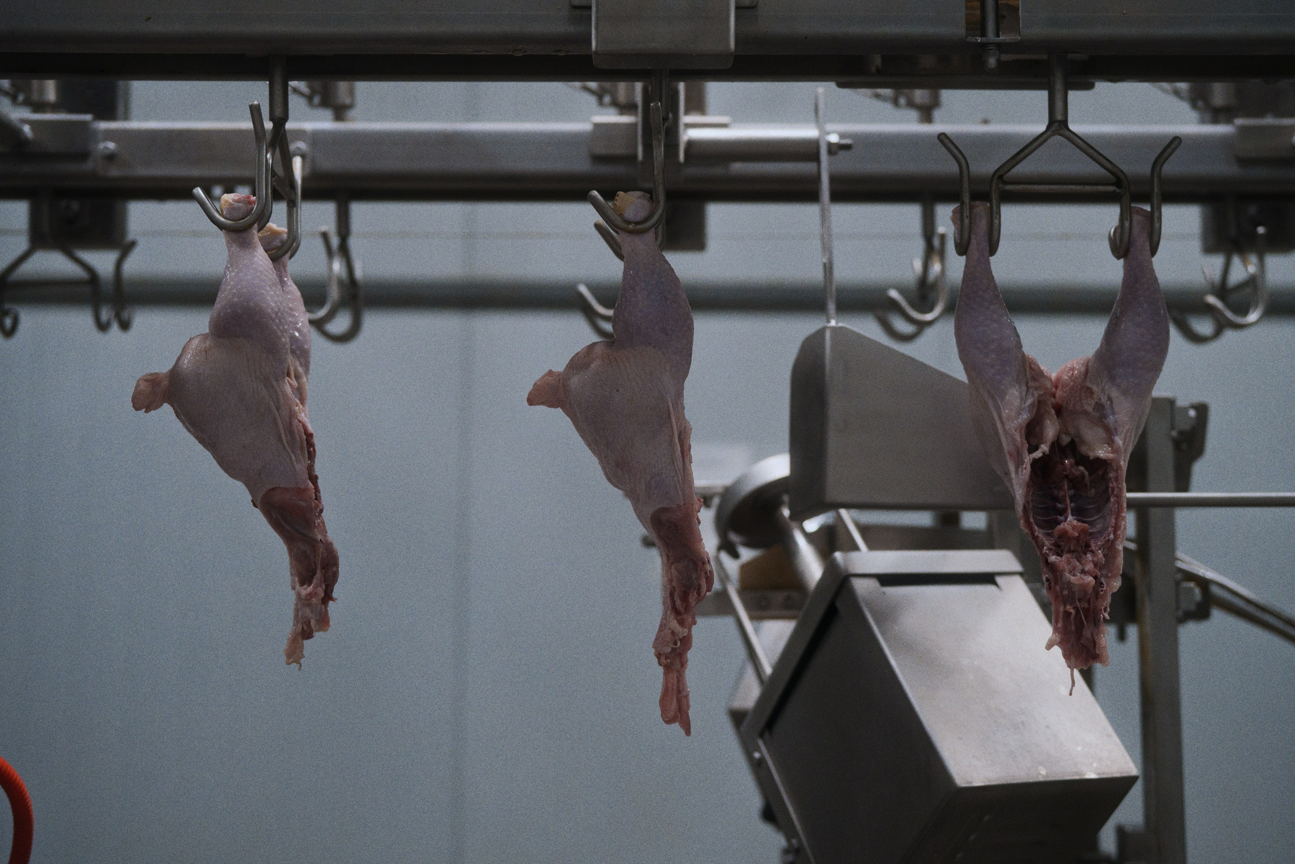 Can you tell a green field from a cold steel rail?. Фотограф Юрин Евгений