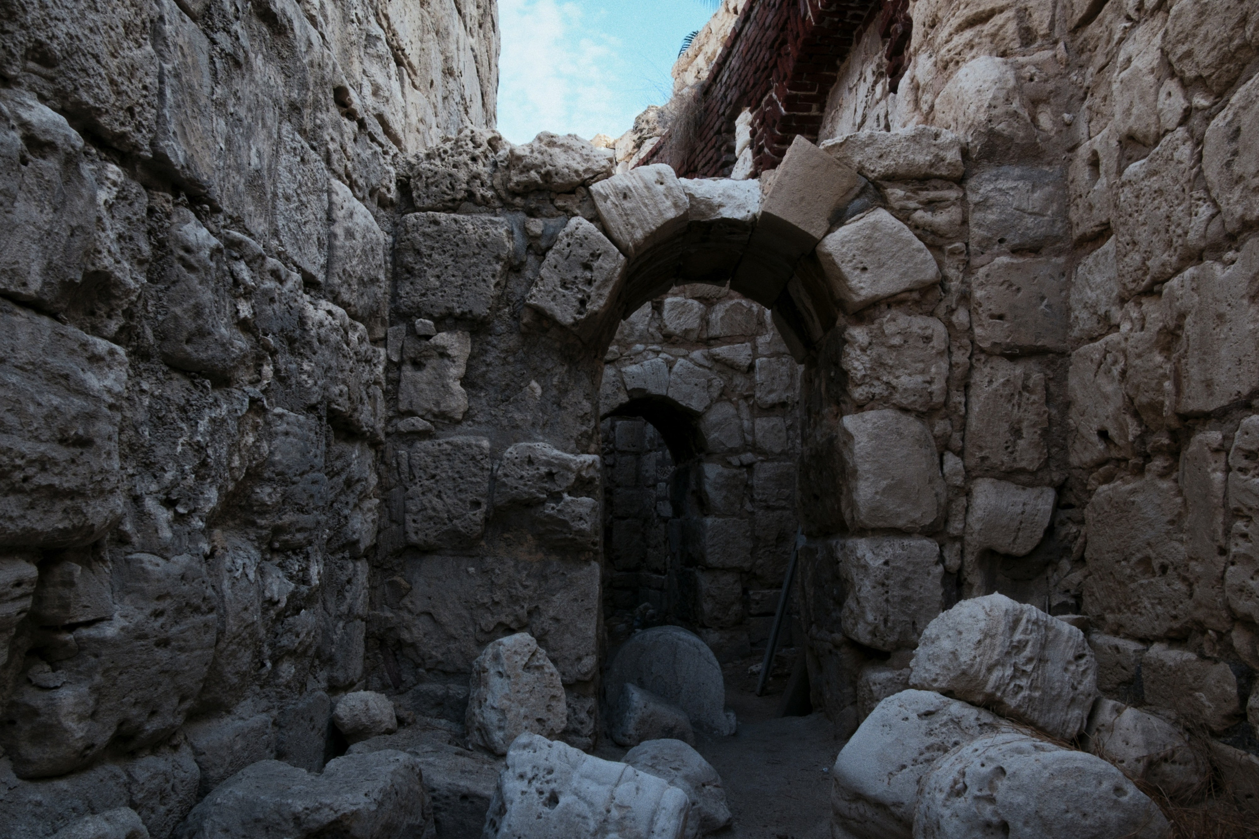 Alexandria / Egypt AW25. Фотограф Юрин Евгений