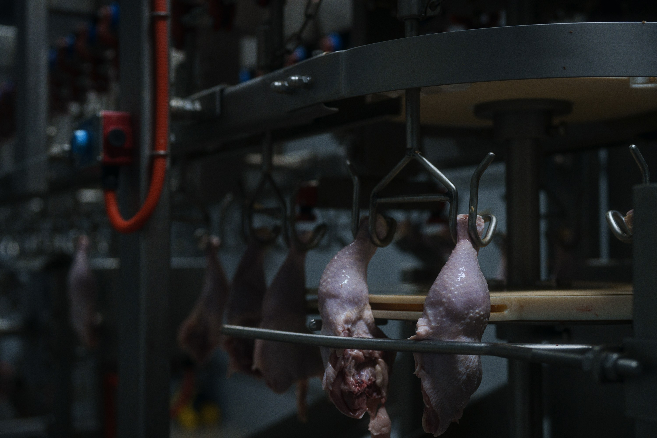 Can you tell a green field from a cold steel rail?. Фотограф Юрин Евгений