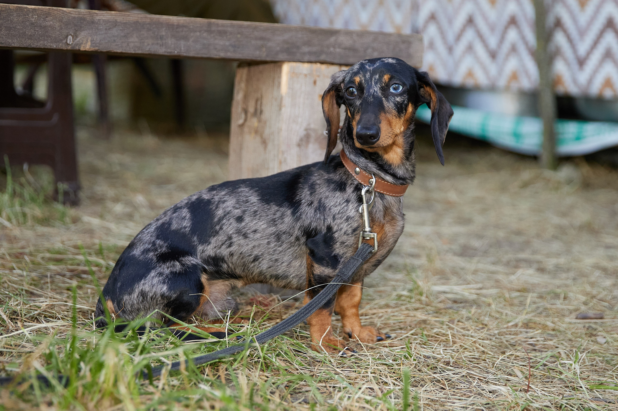 Кадеты. Главная