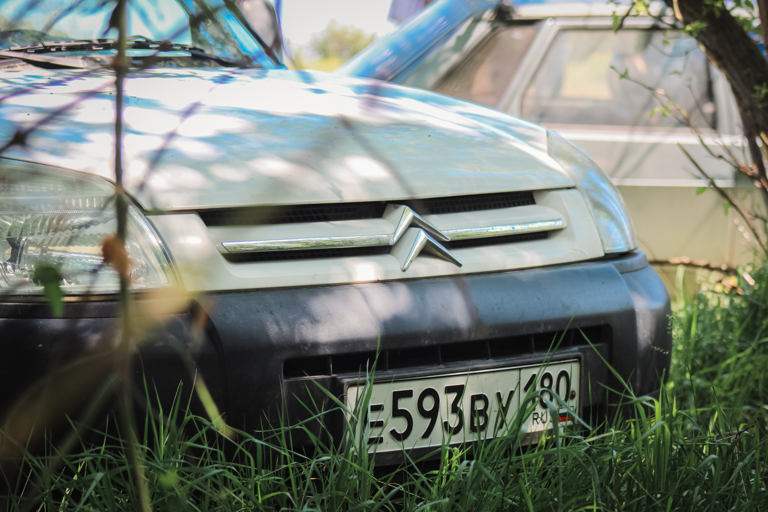 Маёвка. Илья Чемис — Фотограф в Мариуполе