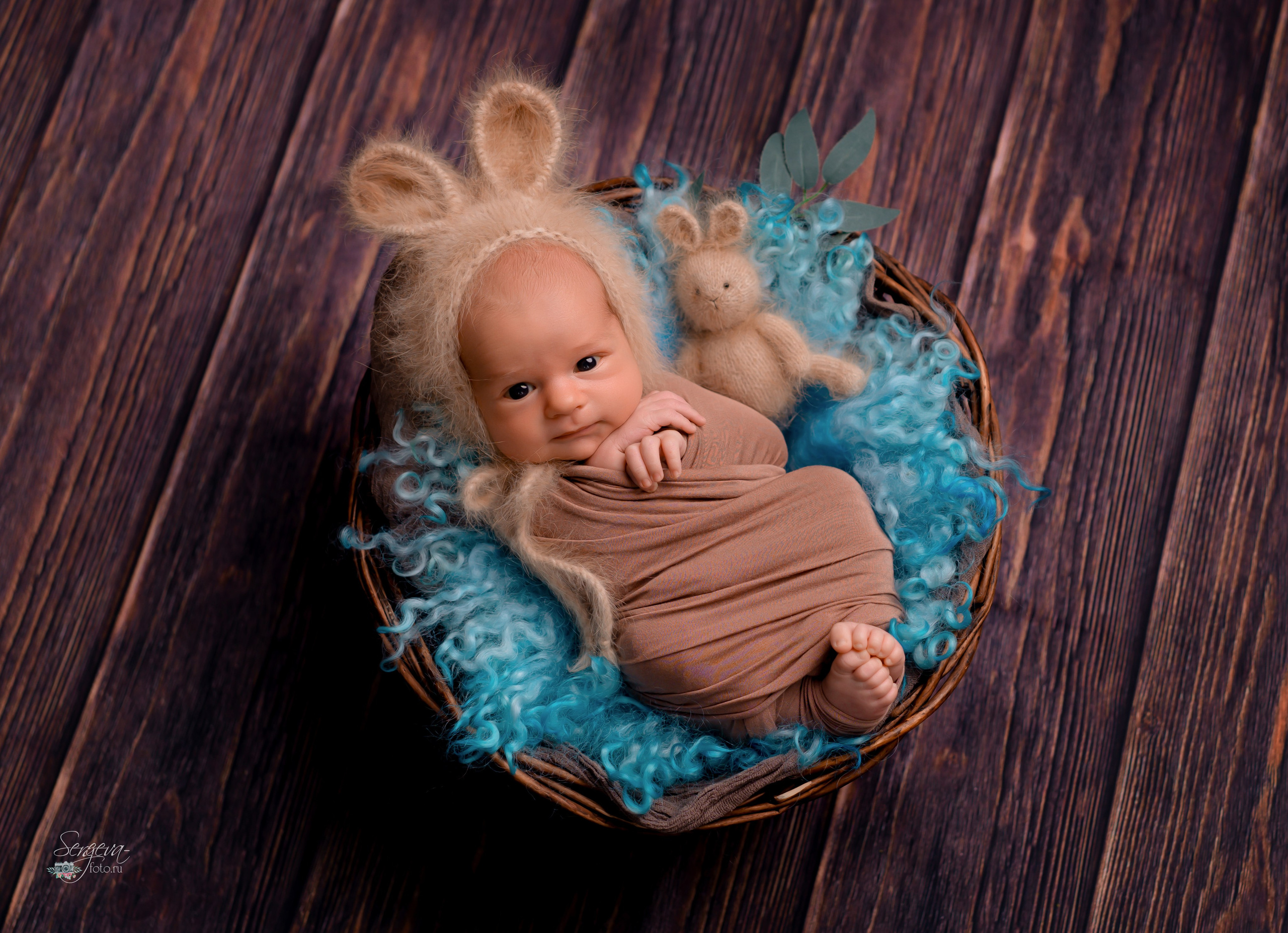 Матвей 23 дня. Фотограф новорожденных в Нижнем Новгороде Сергеева Оксана