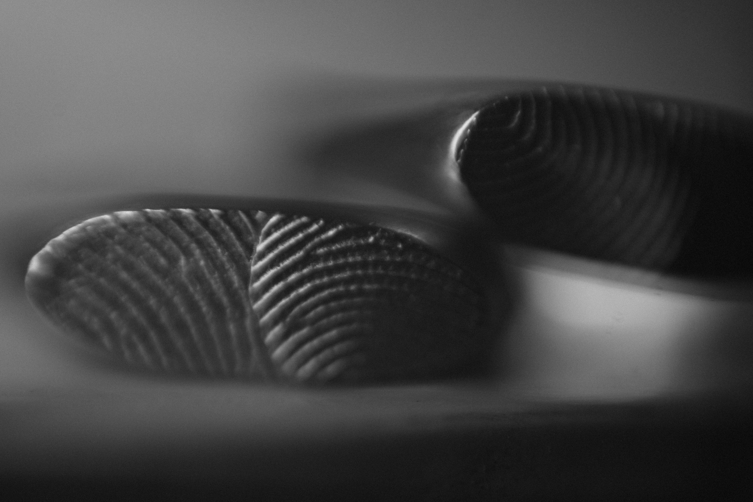 АРИНА И МИХАИЛ. Свадебный и семейный фотограф в Абакане Василевский Алексей