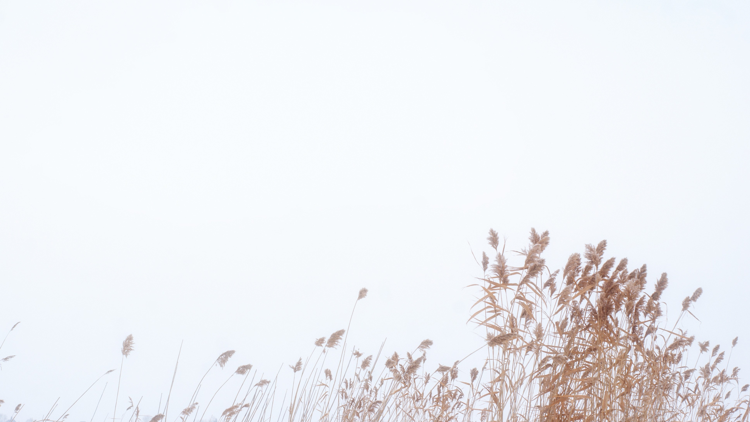 Этот прекрасный мир