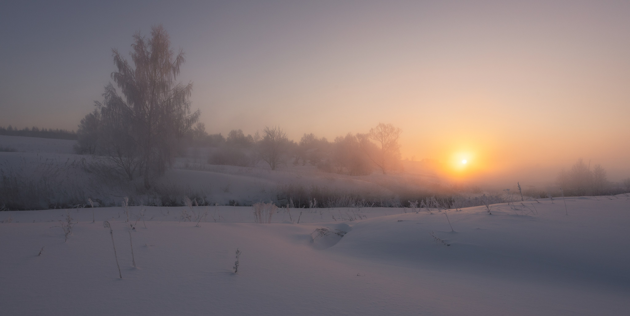 Ручей Деготня. Николай Брытков — фотограф в Туле