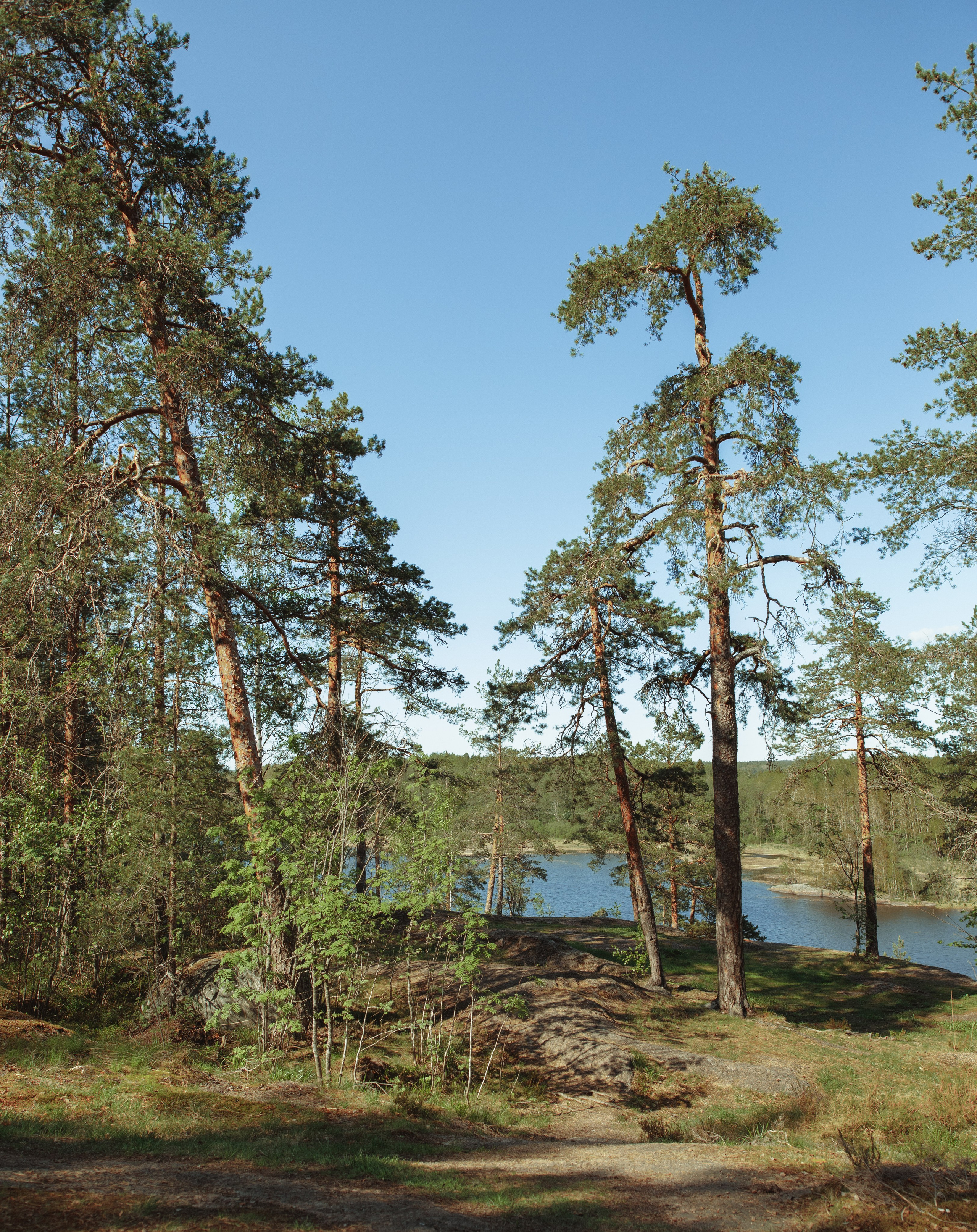 Nature. Артем Корнев Фотограф