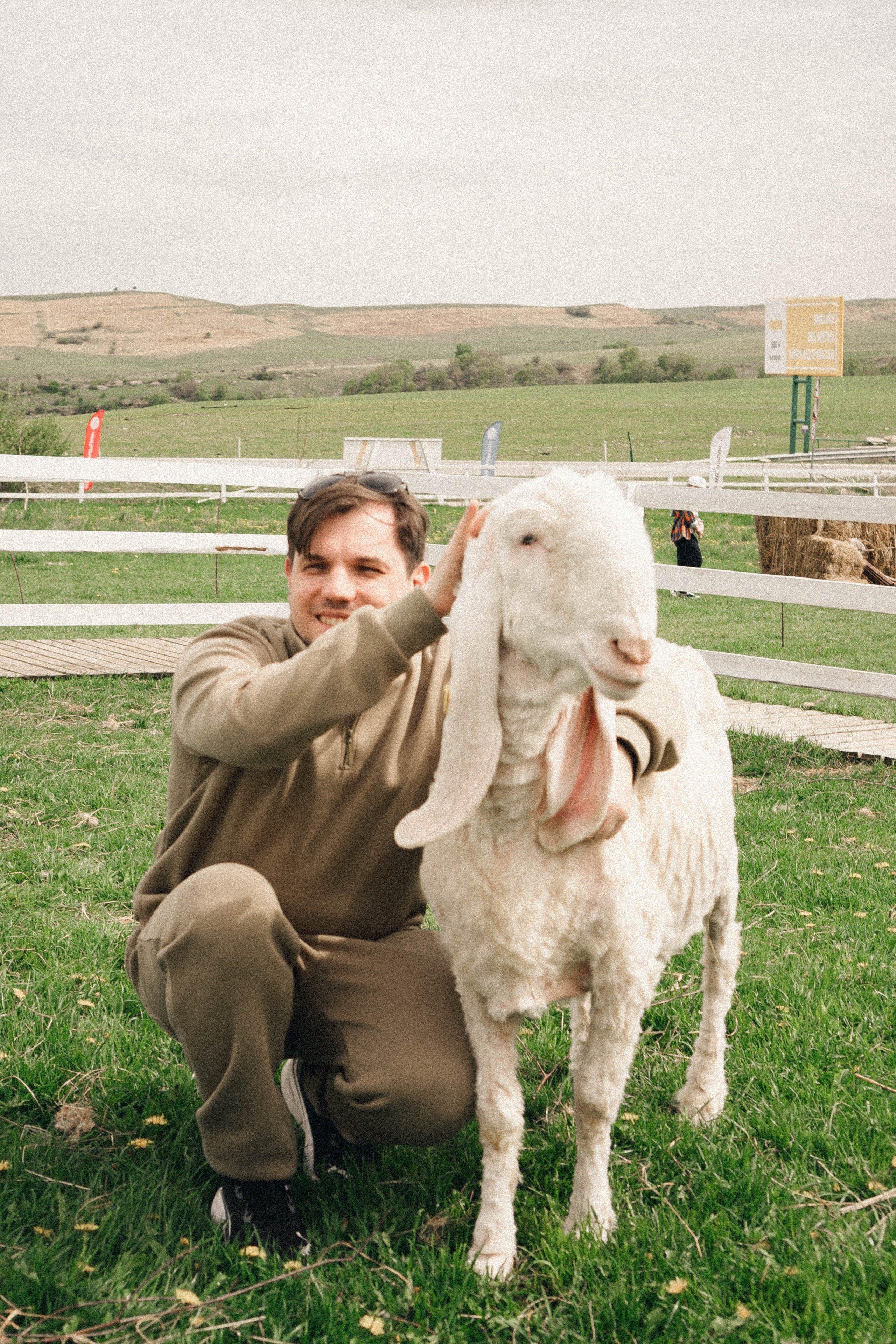 Ферма Альпак. Профессиональный фотограф, Санкт-Петербург — Виктория Богомолова