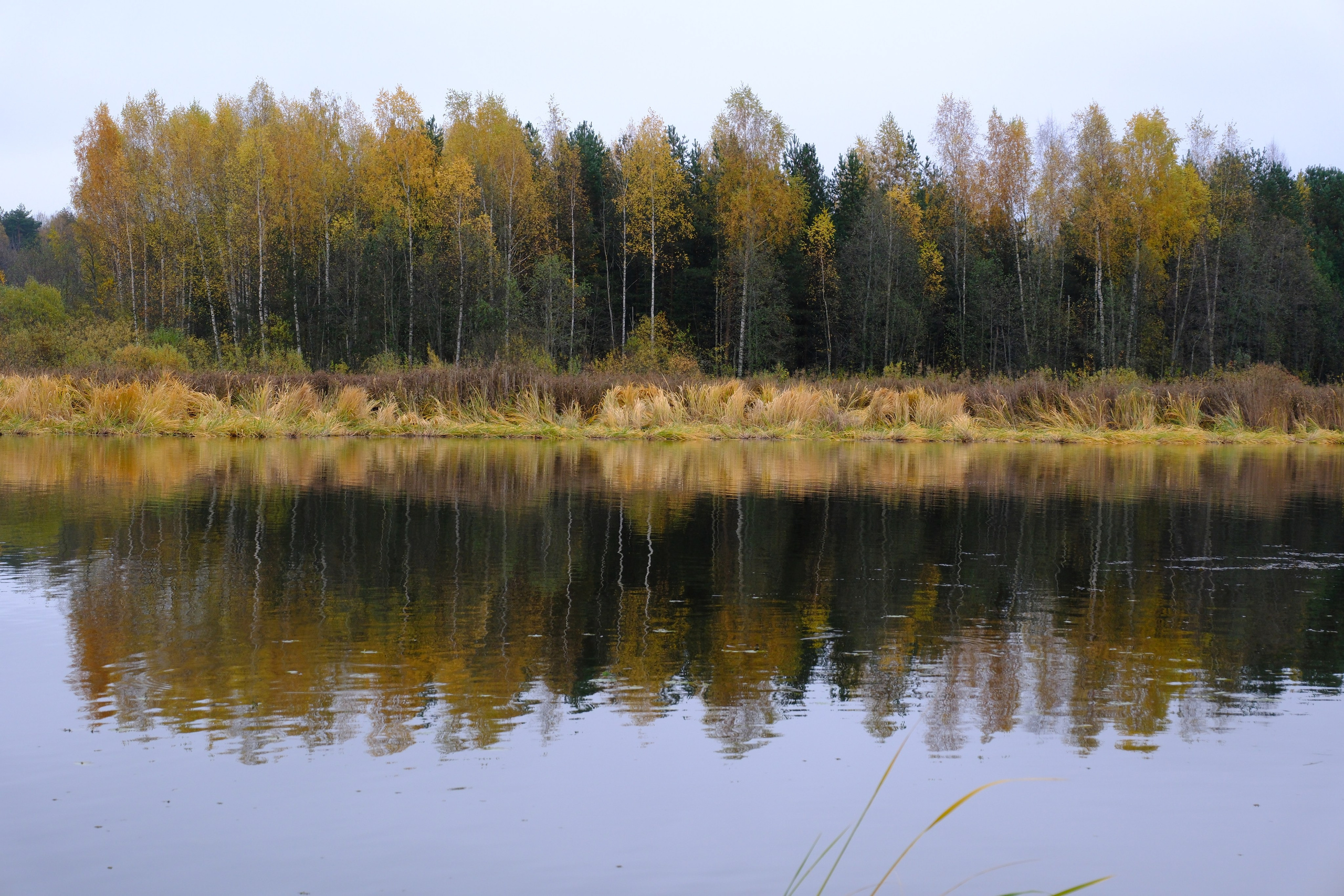 Natureplanet earth. Фотограф Валерий Овсянников