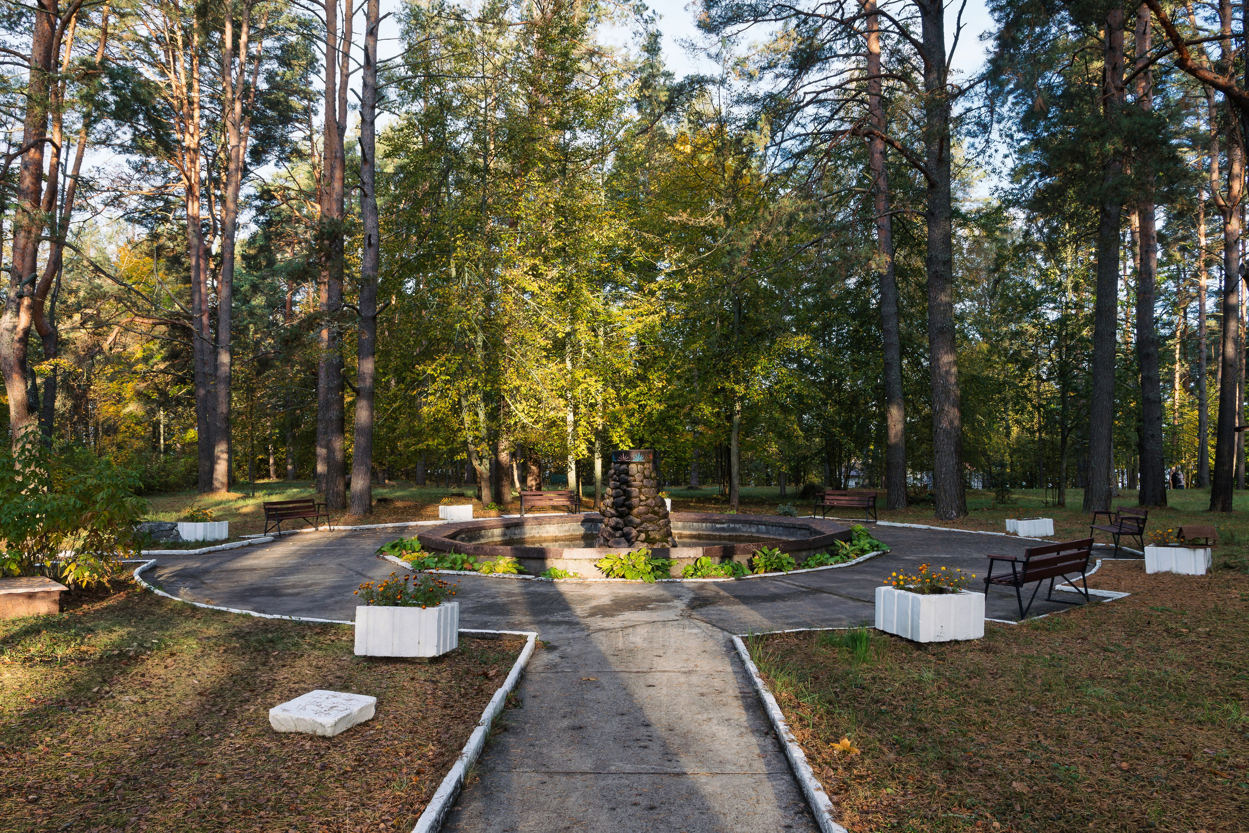 Голубые озера, Псковская область. Октябрь 2024. Фотограф Никифоров-Гордеев Сергей. Москва и МО