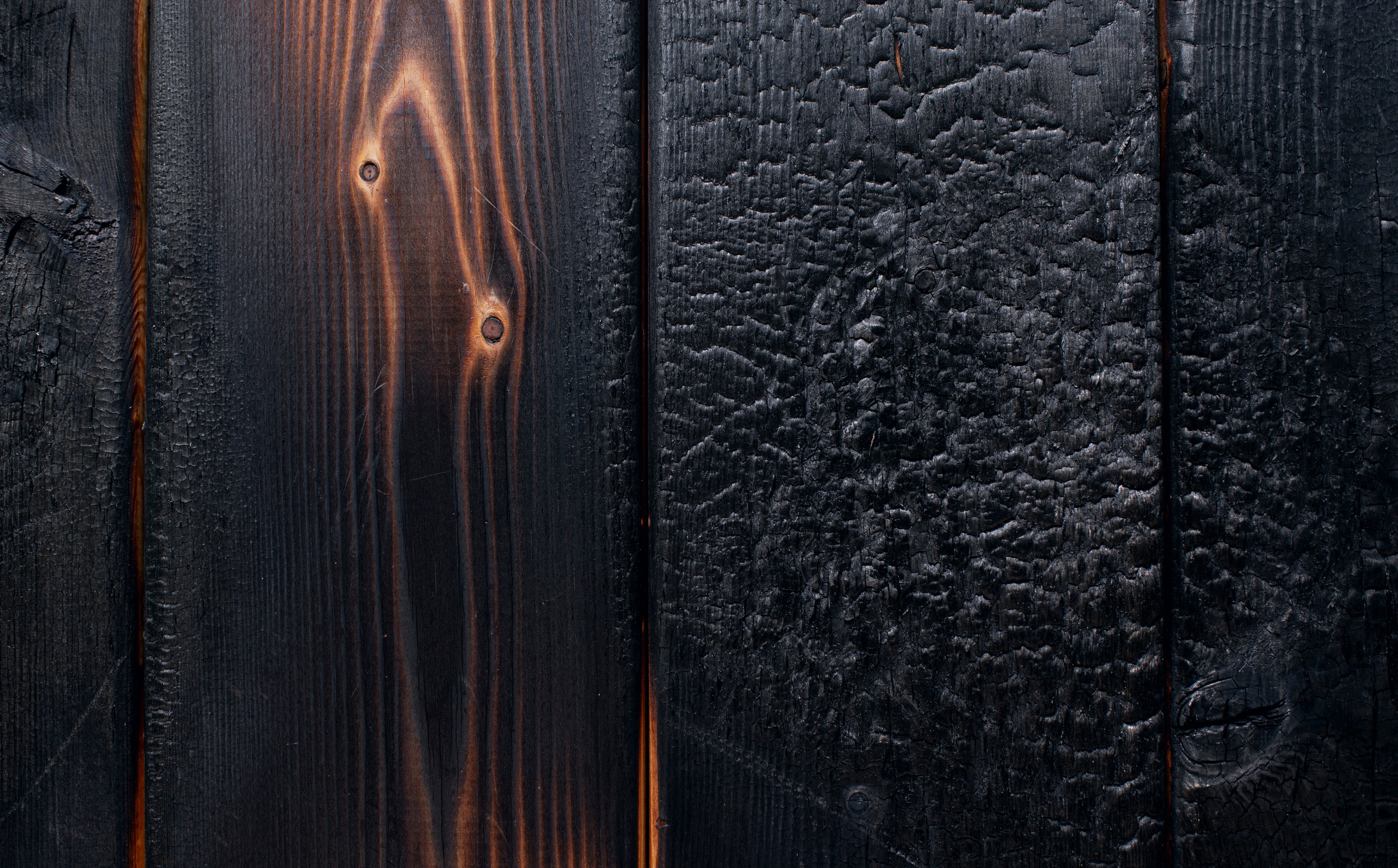 Выставка в доме Третьяковых. Фотограф в Москве Алейникова Евгения