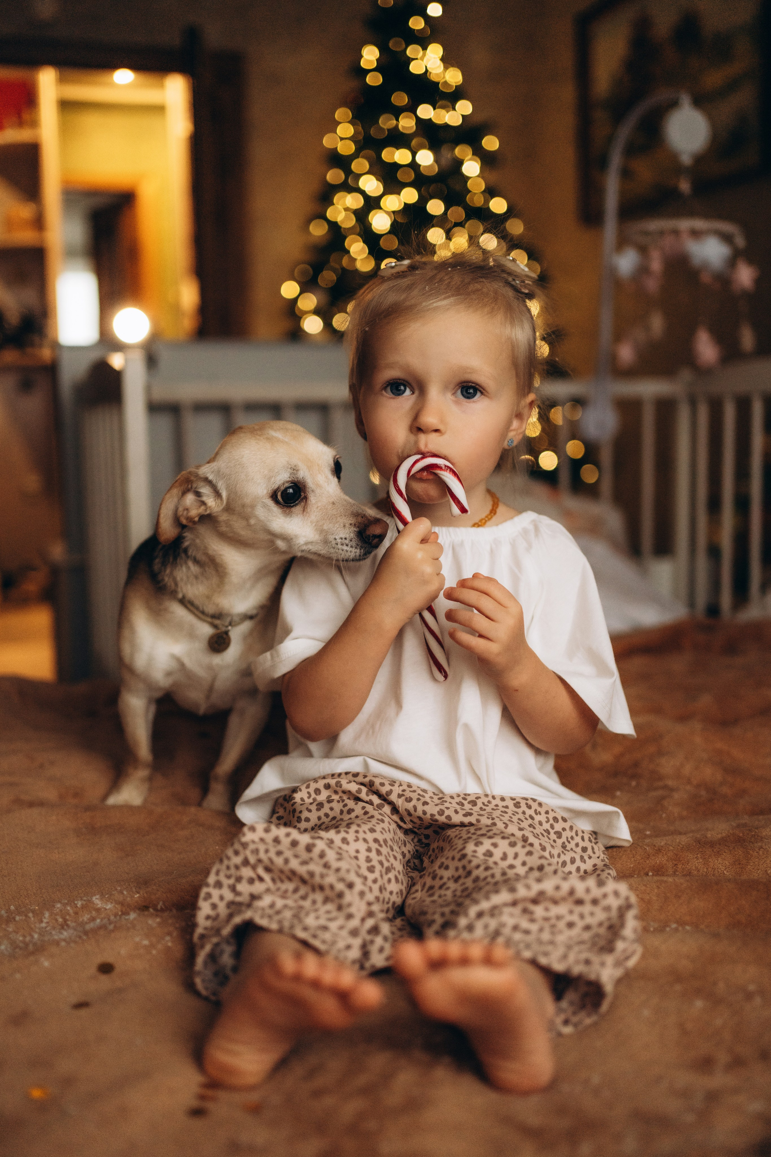 Настя, Леша, Алиска и Сеня. Фотограф в Минске — Мария Миллс