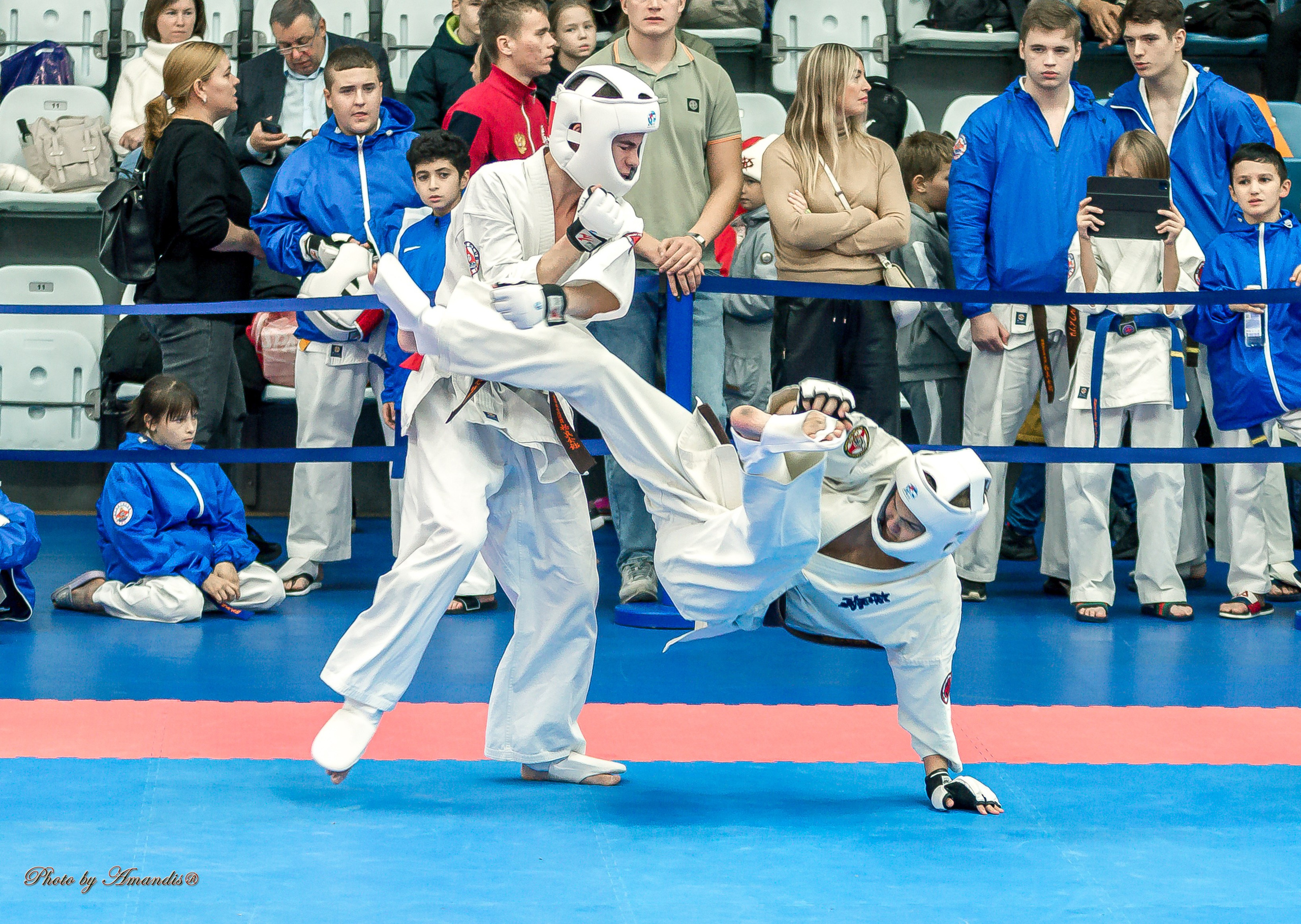 Чемпионат по Киокушинкай Центрального Федерального округа. Репортажная съемка в Москве и области. Анималистика