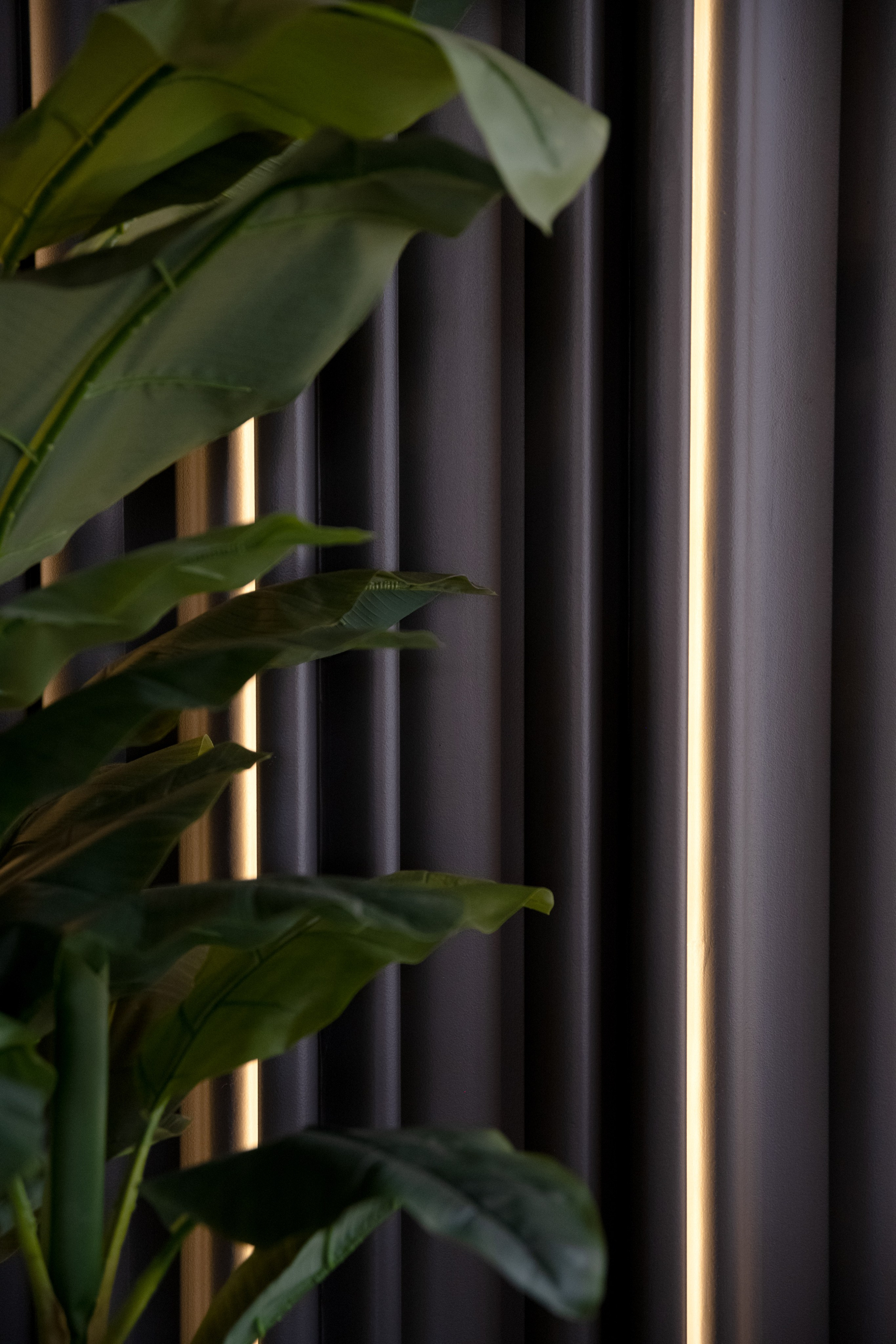 Кафе Eyra Астрахань. Интерьерный, портретный и семейный фотограф в Москве Мария Иринархова