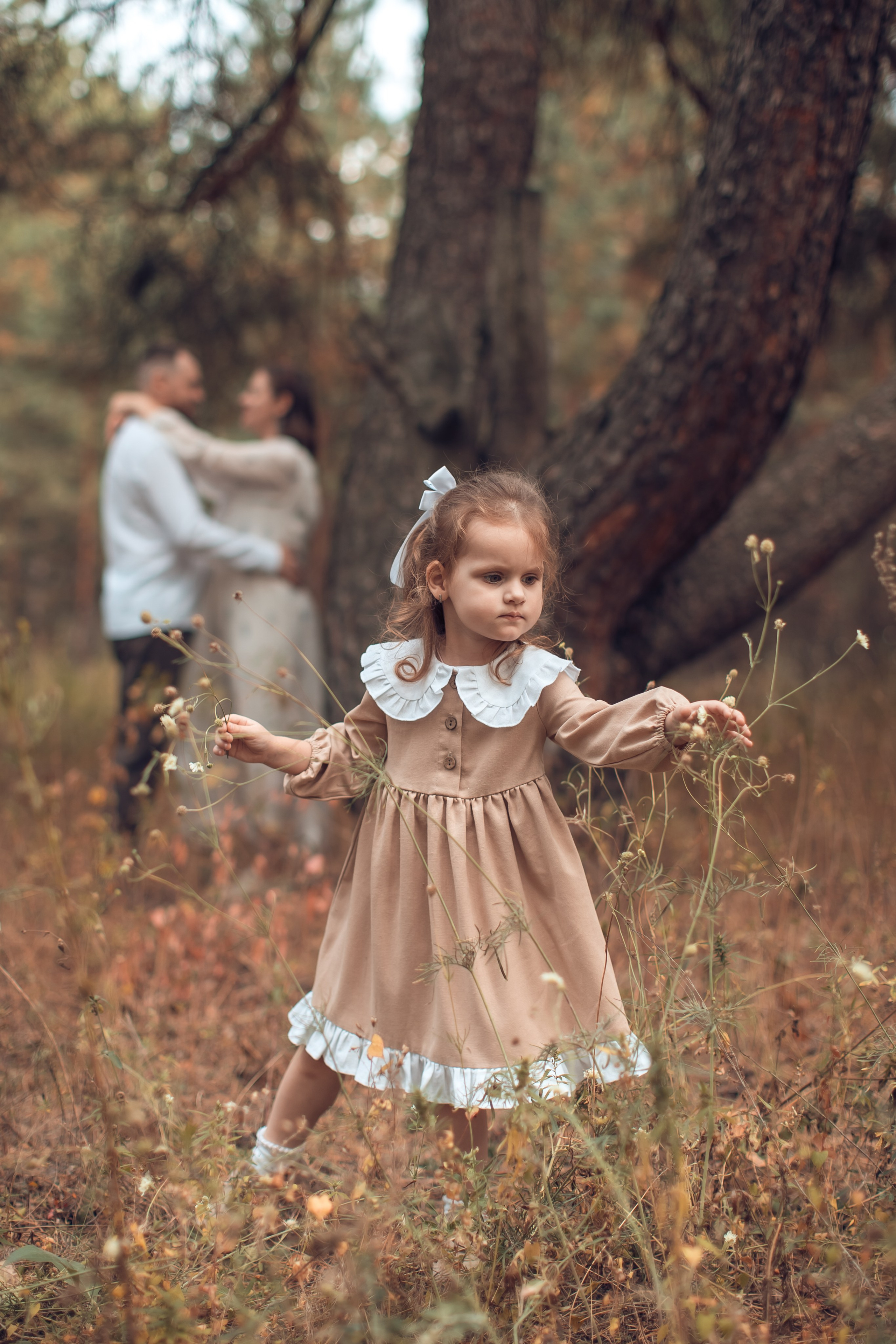 Прогулка в Широком. Главная