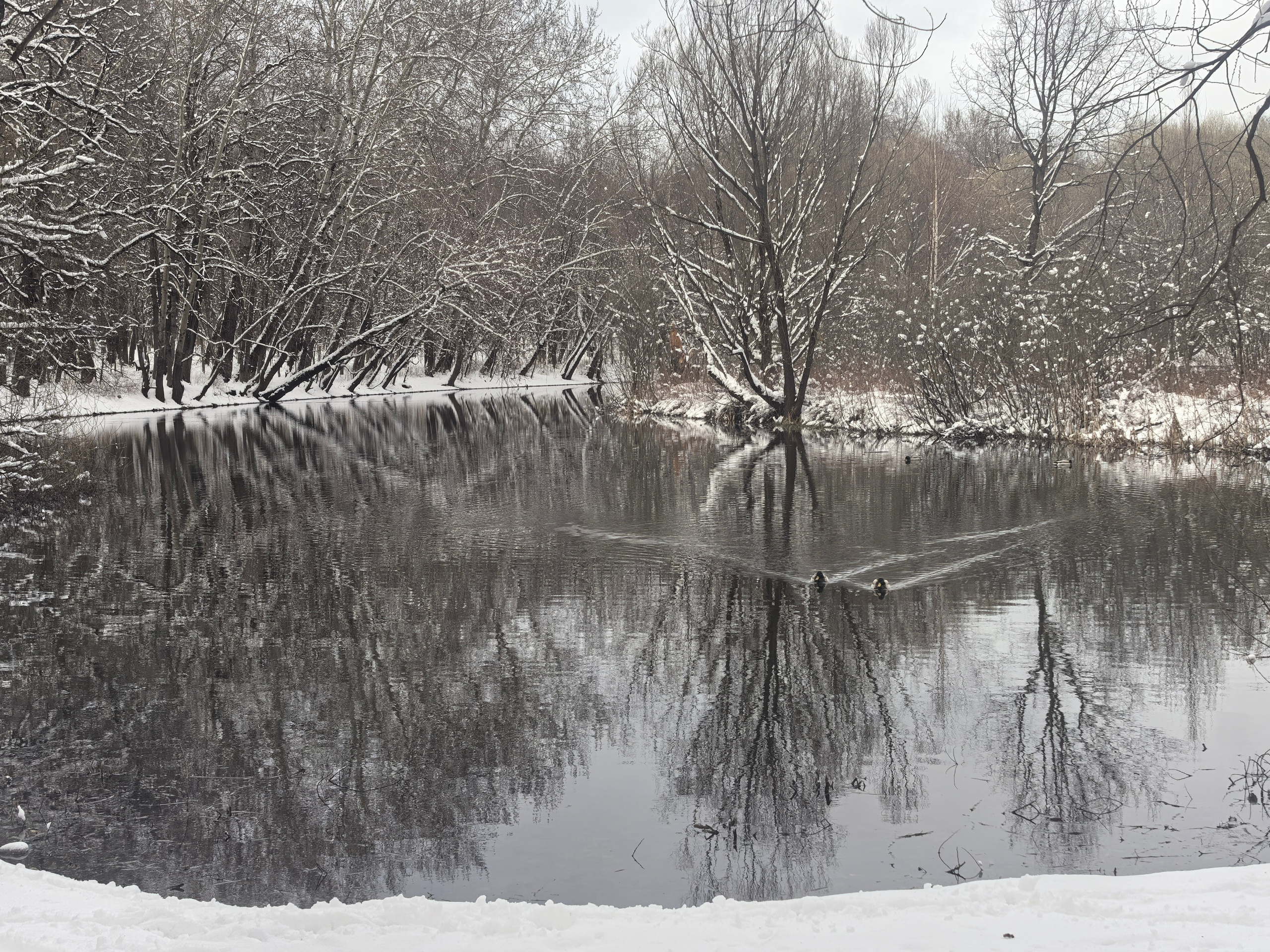 Покровско-Стрешнево. Школьные выпускные альбомы в Москве Марина Николаева