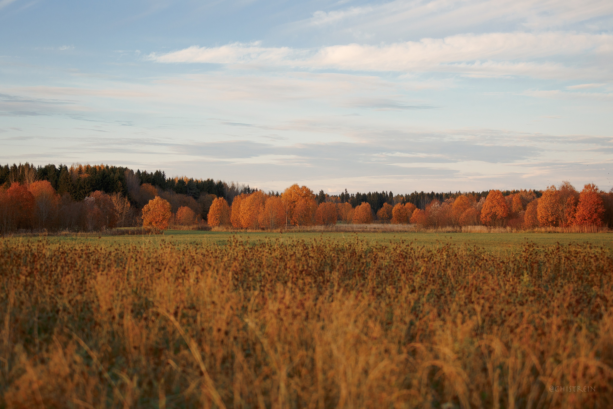 Октябрьский закат в полях. Алина и Лео. Фотограф-анималист Наталия Чистюхина в г. Сосновый Бор и ЛО