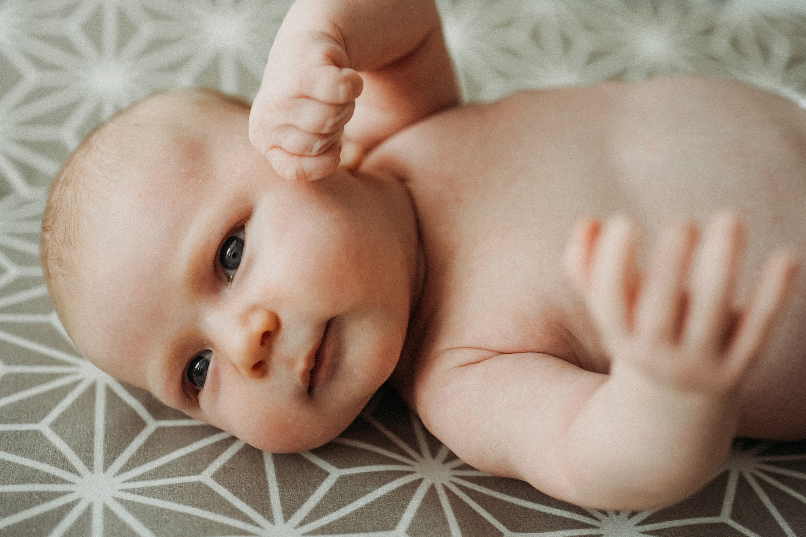 Елена, Андрей и малыши. Фотограф Наталья Колганова