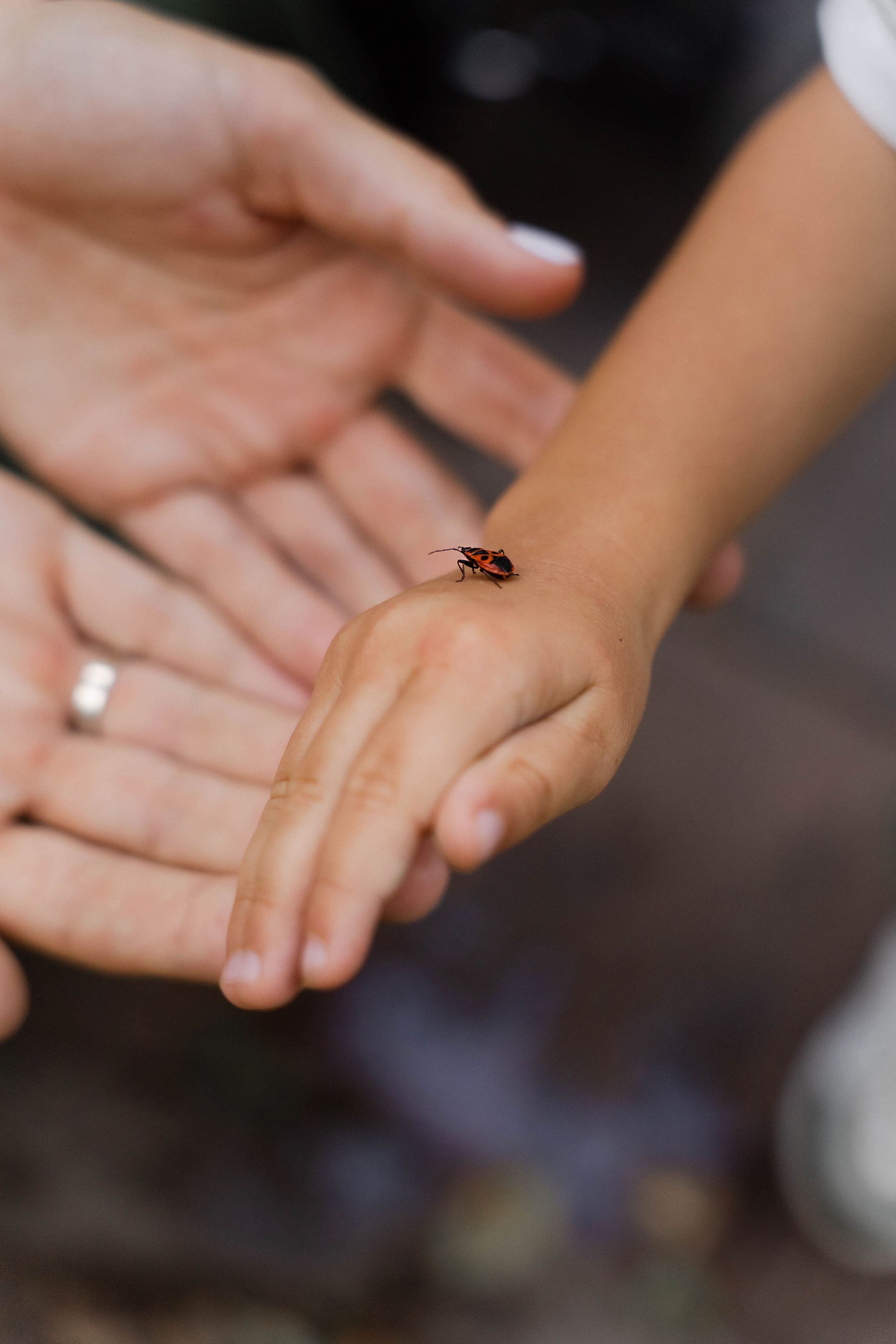 ФОТОГРАФ КСЕНИЯ СОСНОВСКАЯ