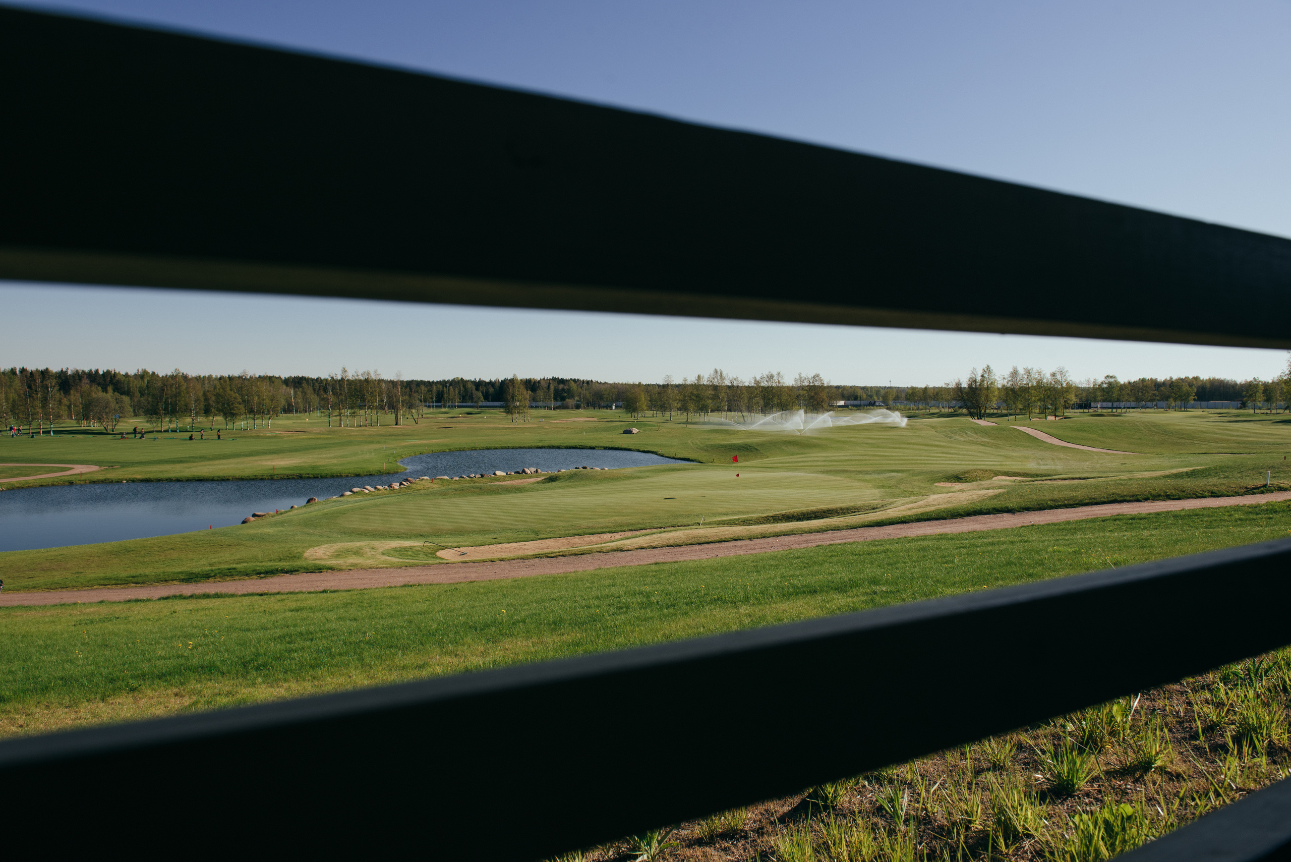 Павел и Елена. Strawberry fields